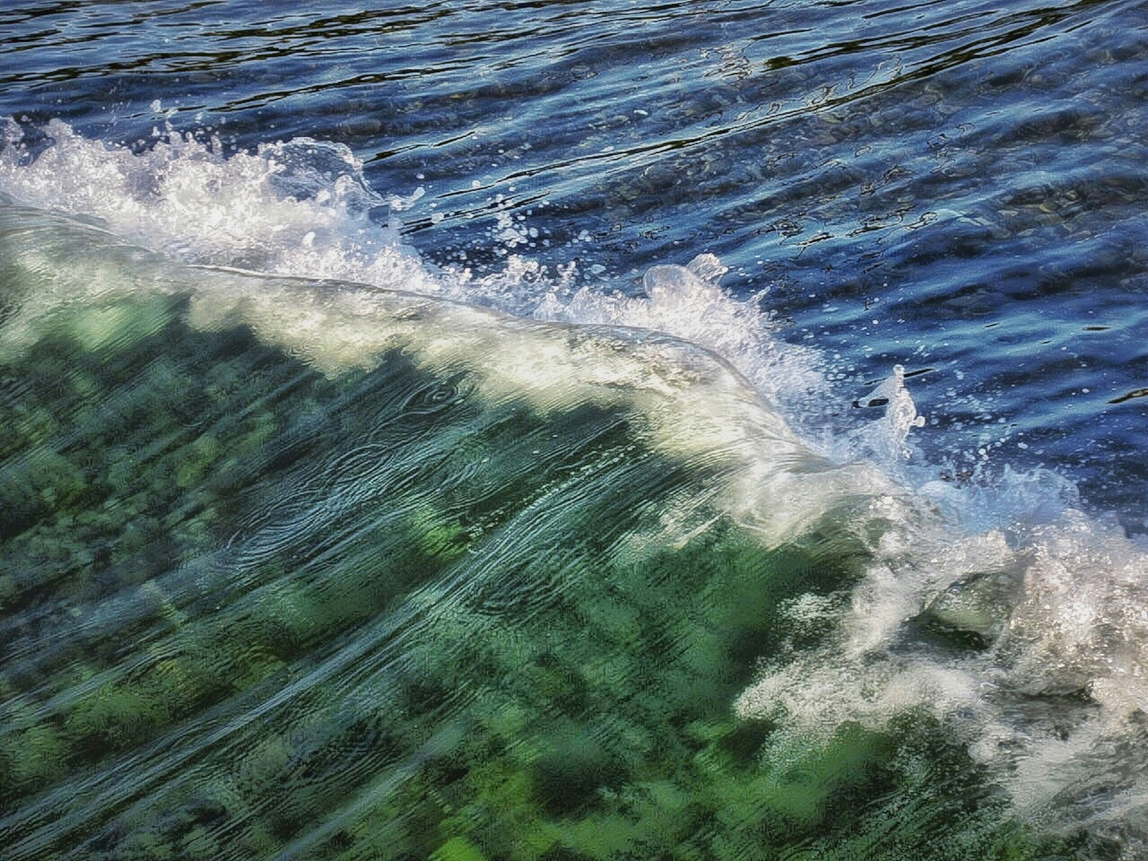 Beautiful wave cresting over a blue water surface