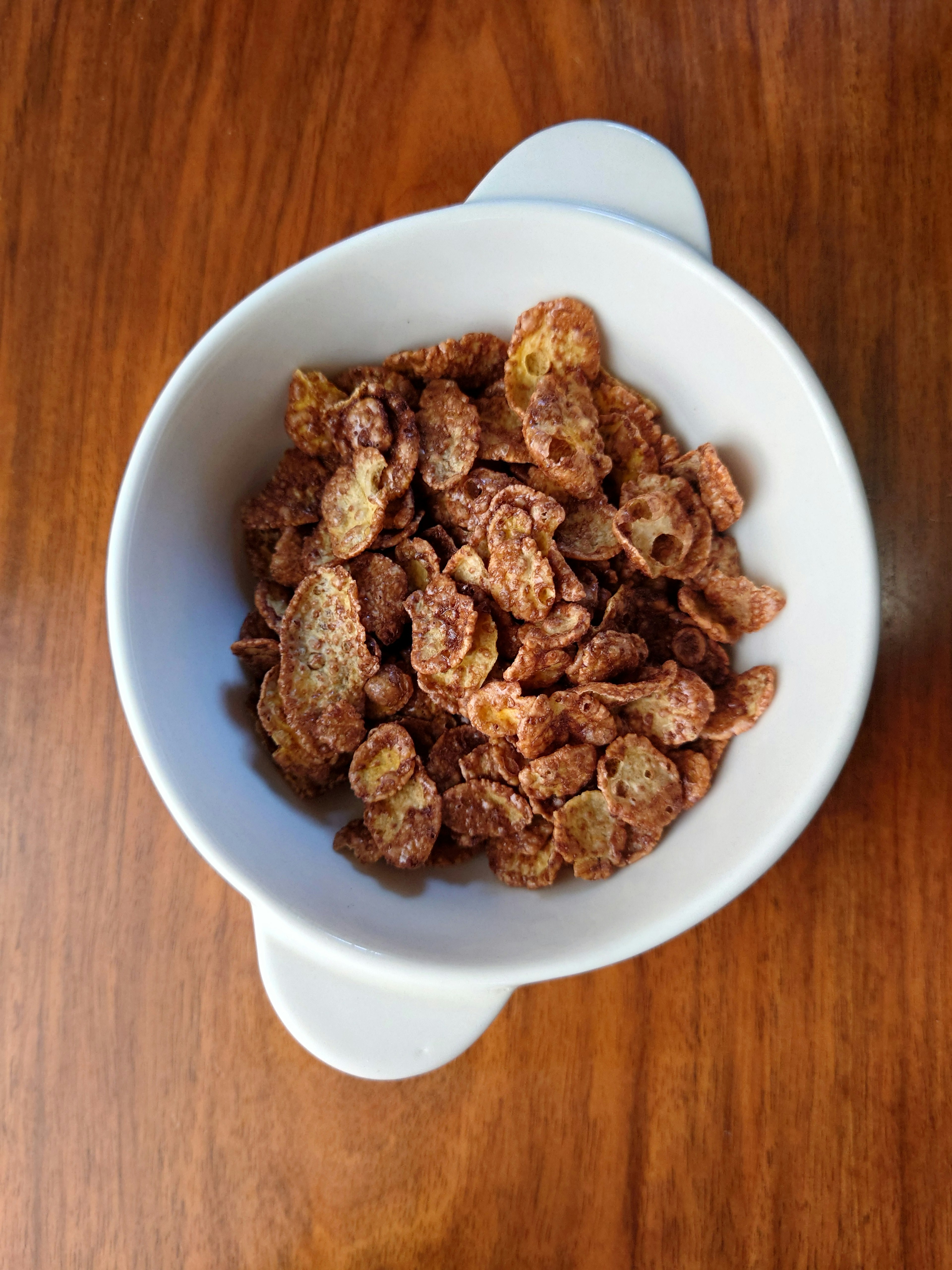 Chocolate-flavored cereal in a white bowl