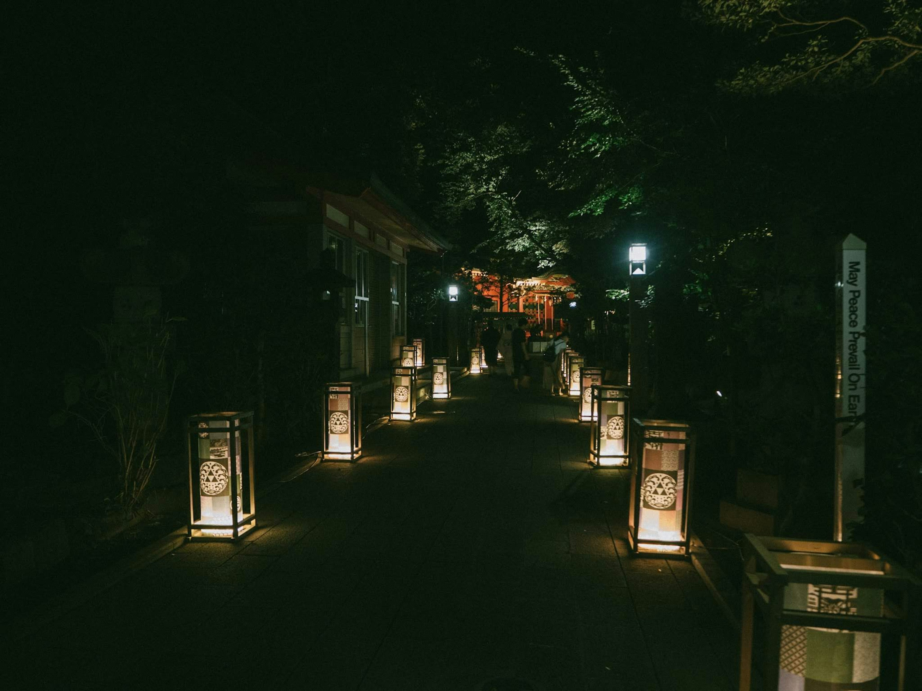 夜晚由传统日本灯笼照亮的宁静小道