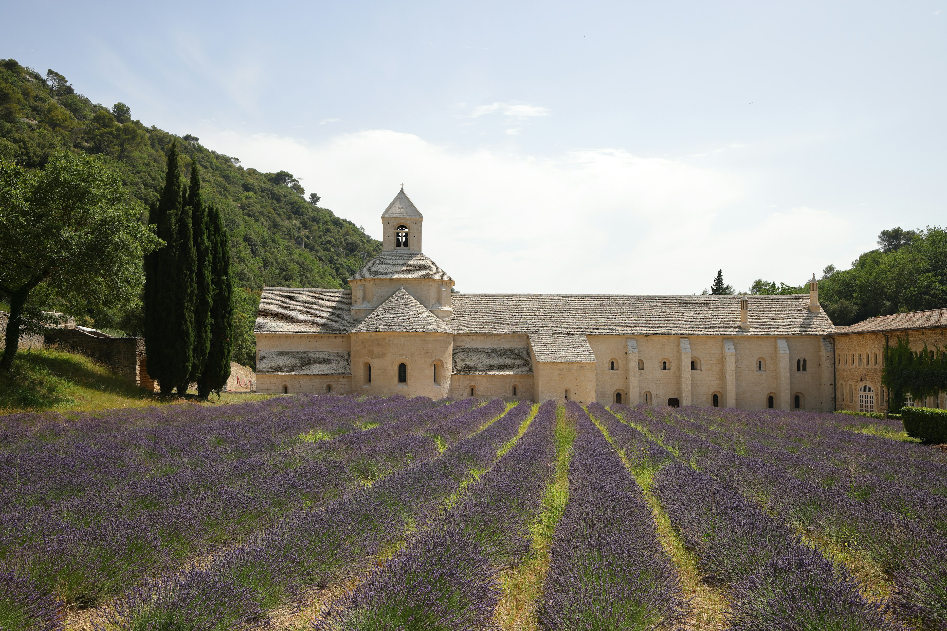 Ladang lavender dengan biara yang tenang di latar belakang