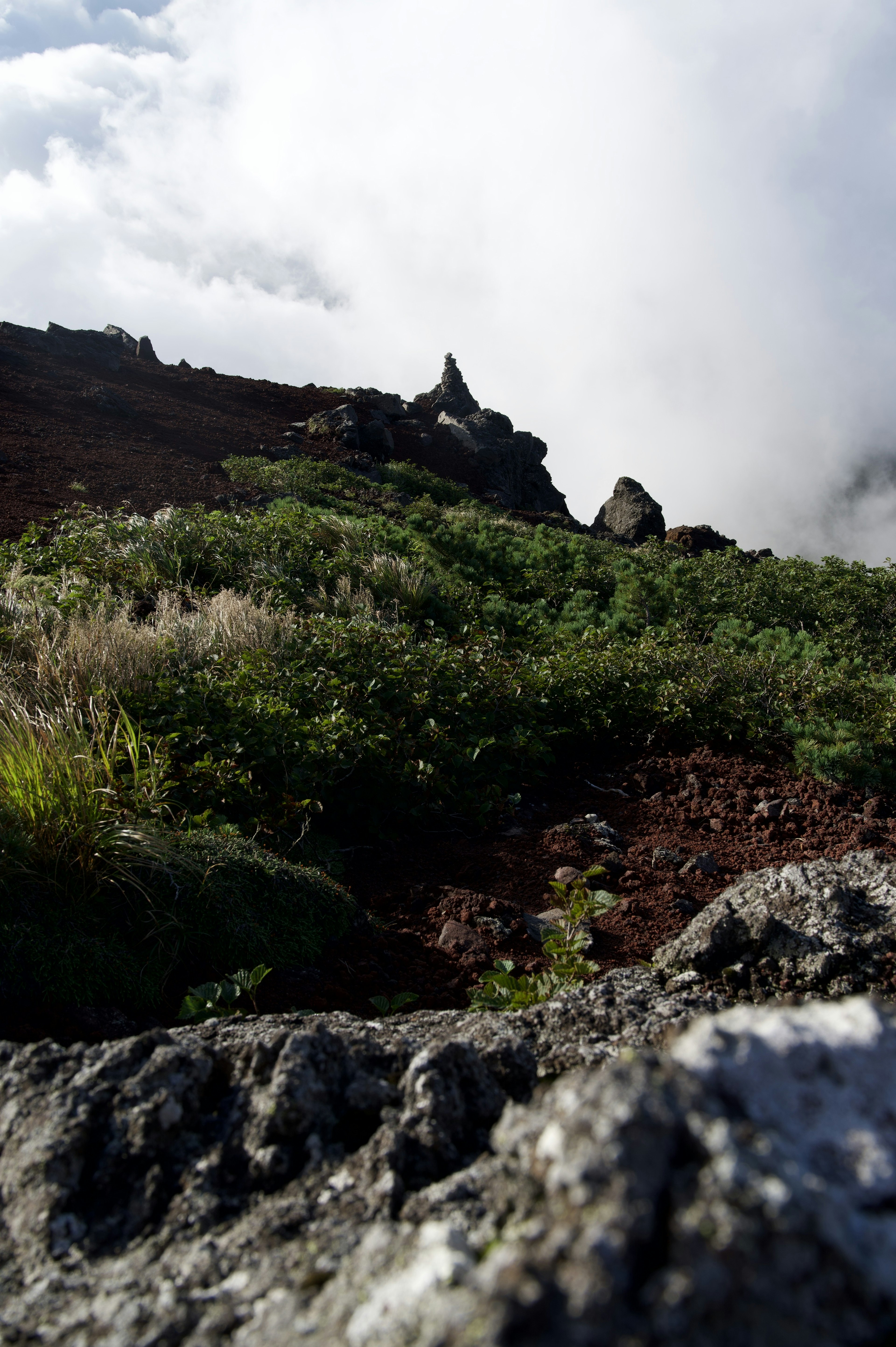 Lush greenery and rocky terrain on a volcanic slope