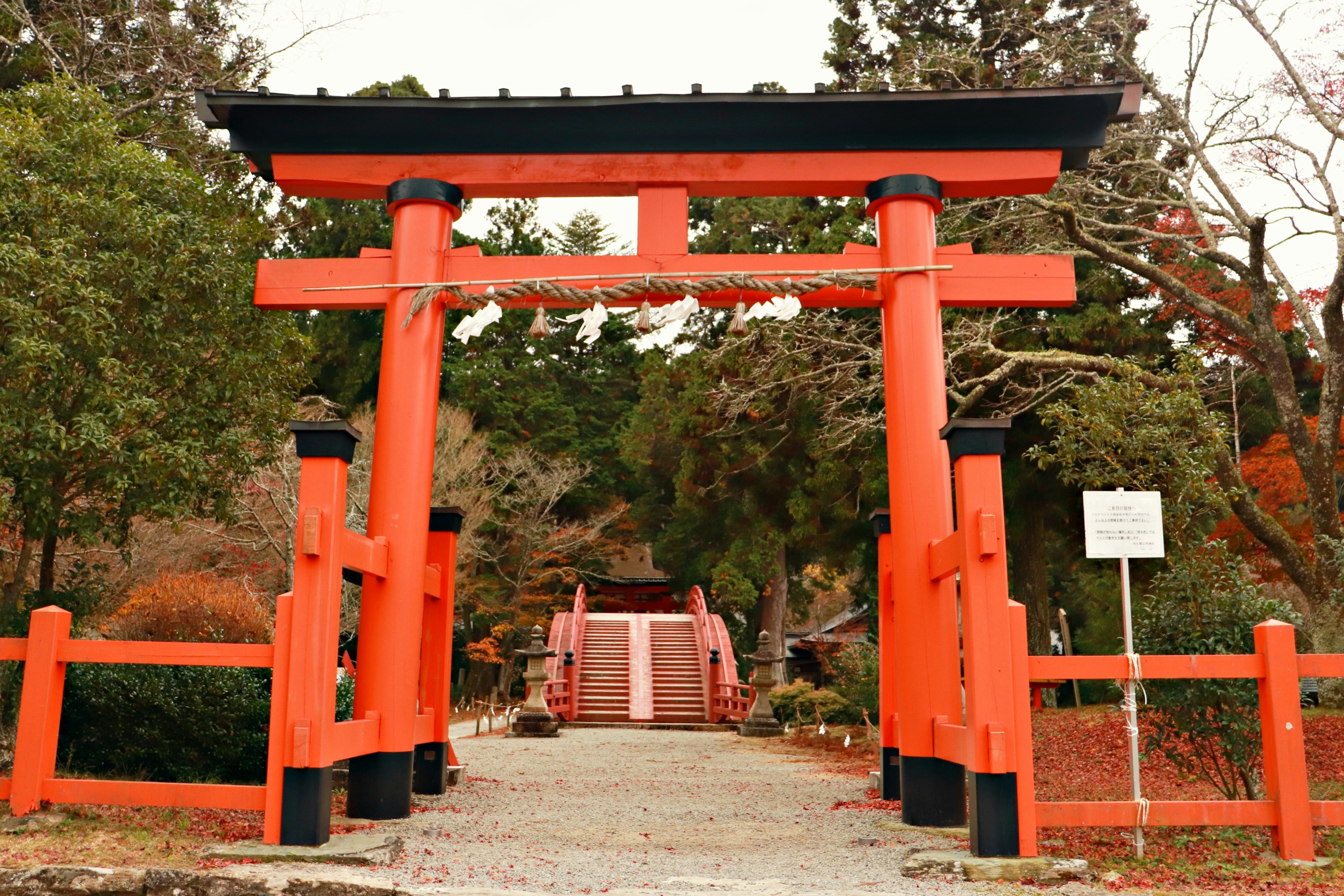 Gerbang torii merah di pintu masuk kuil Jepang dikelilingi oleh tanaman hijau