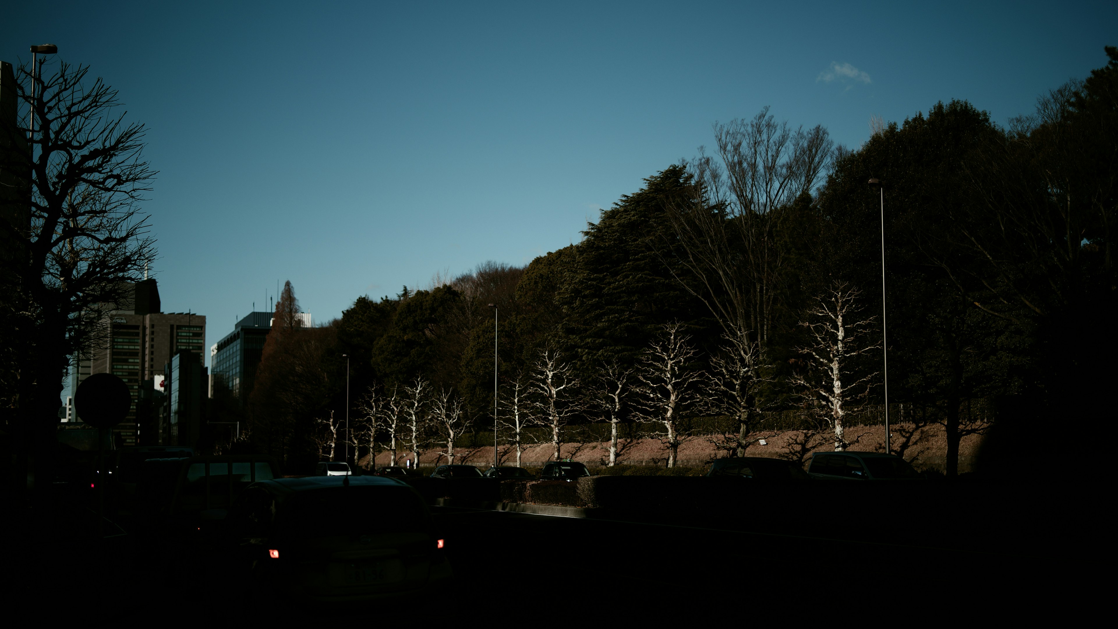 Vue de la ville avec une rue bordée d'arbres sous un ciel bleu