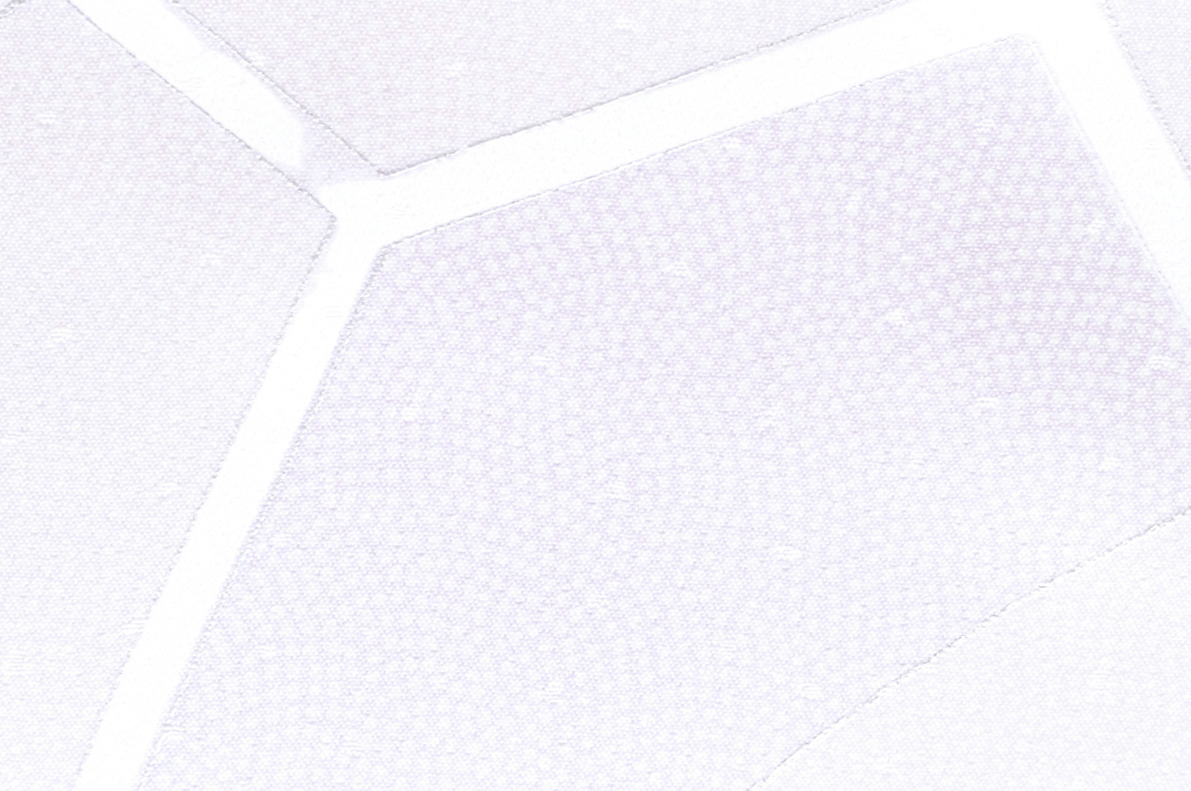 Textured pattern with fine mesh design on a white background