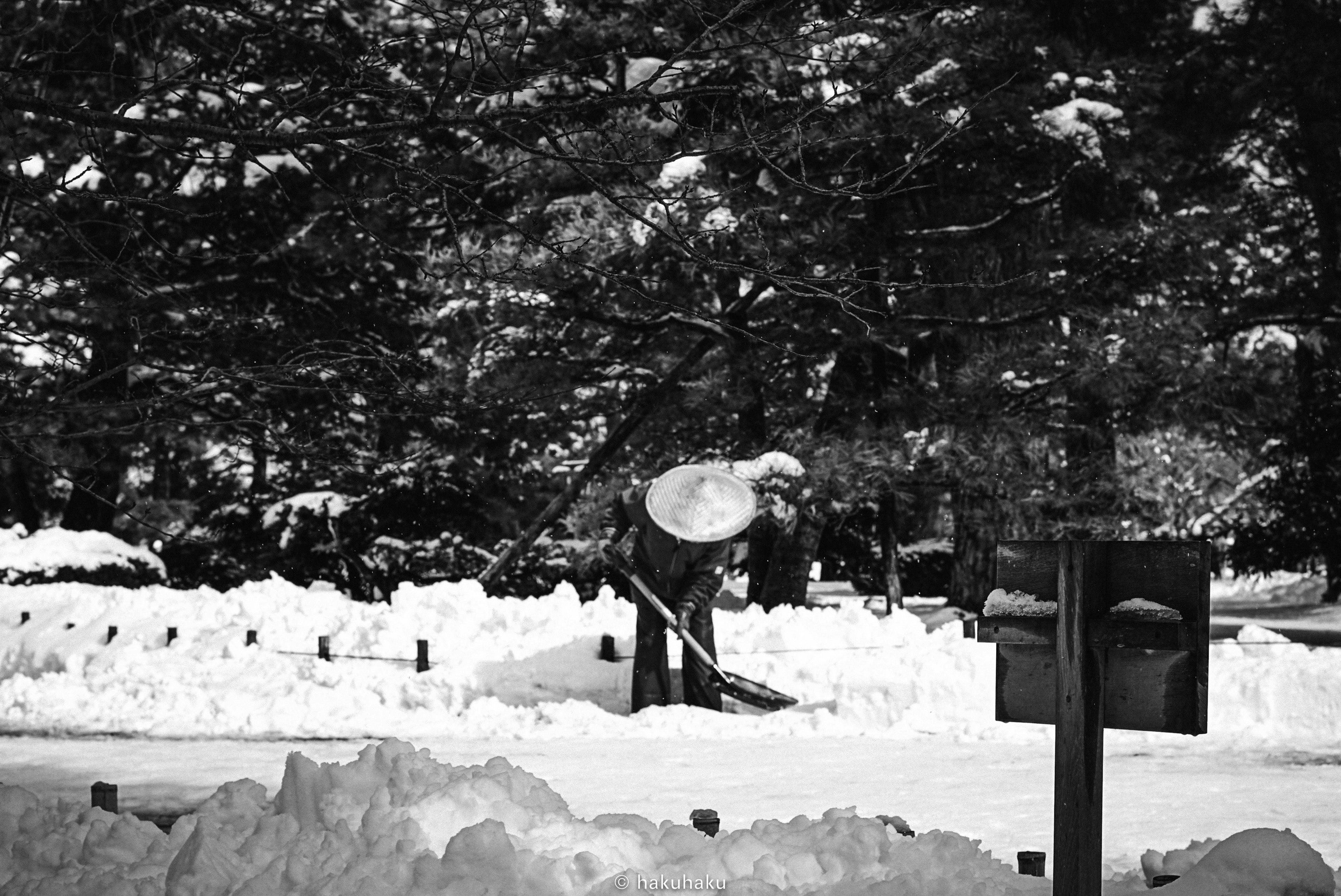 Personne déblayant la neige dans un parc enneigé