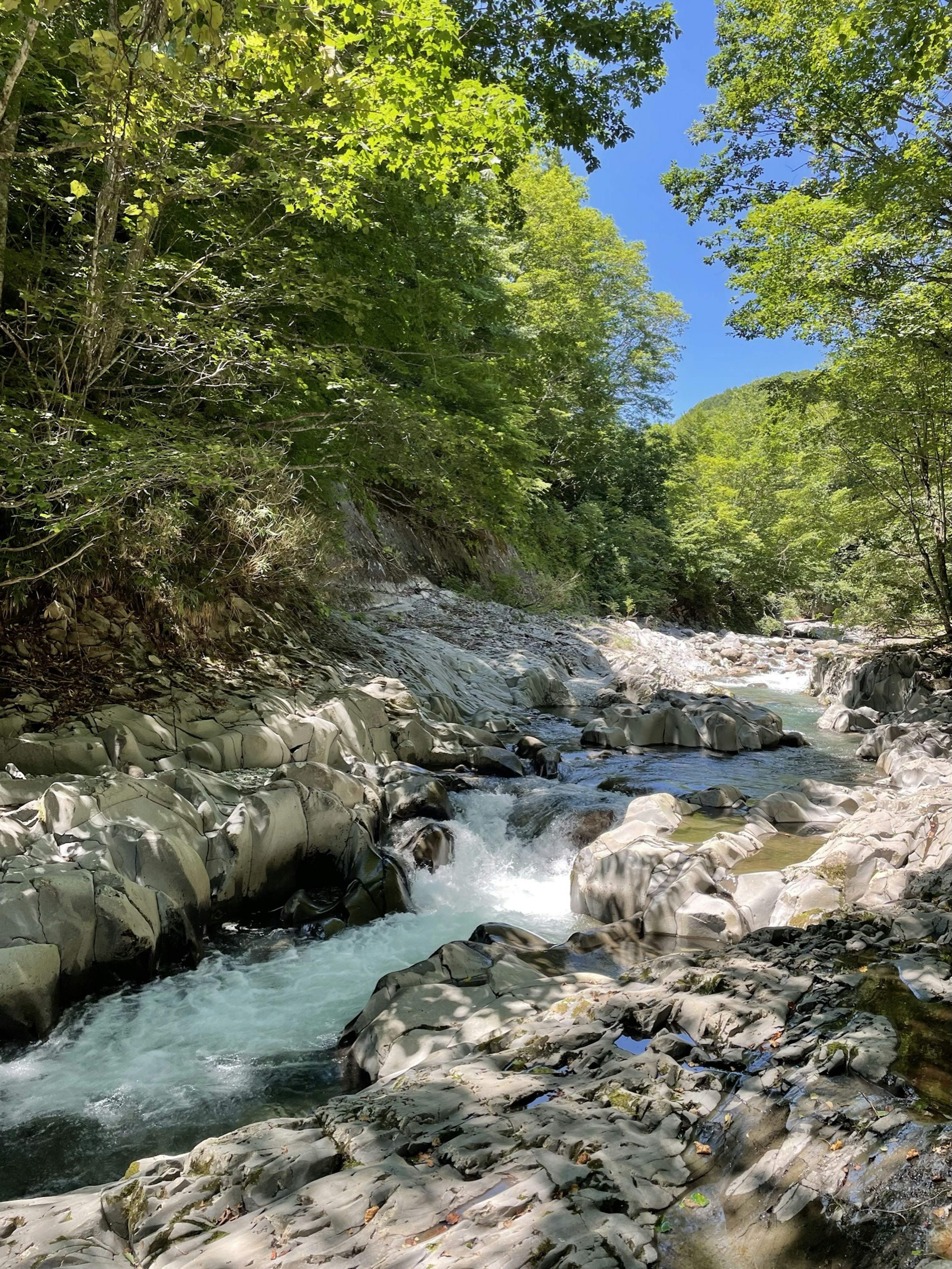 Malersicher Blick auf einen klaren Bach, umgeben von üppigem Grün, der über Felsen fließt