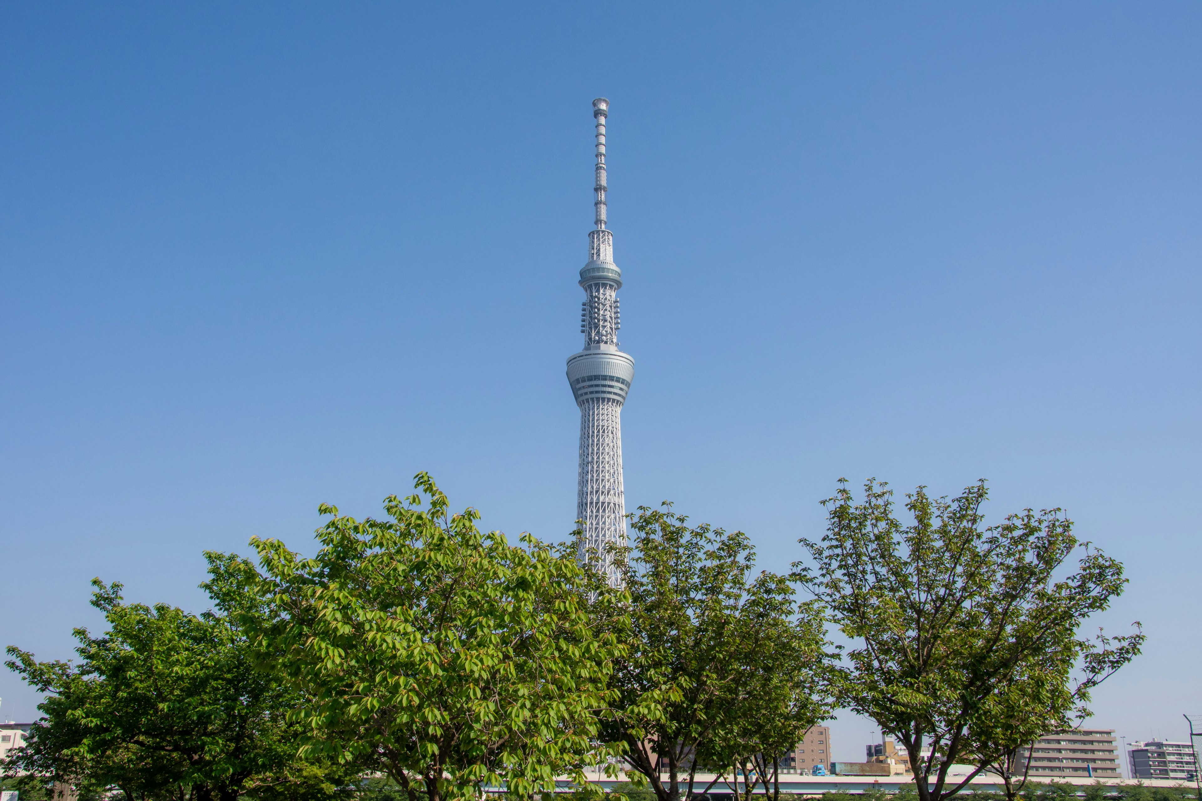 Tokyo Skytree against a clear blue sky