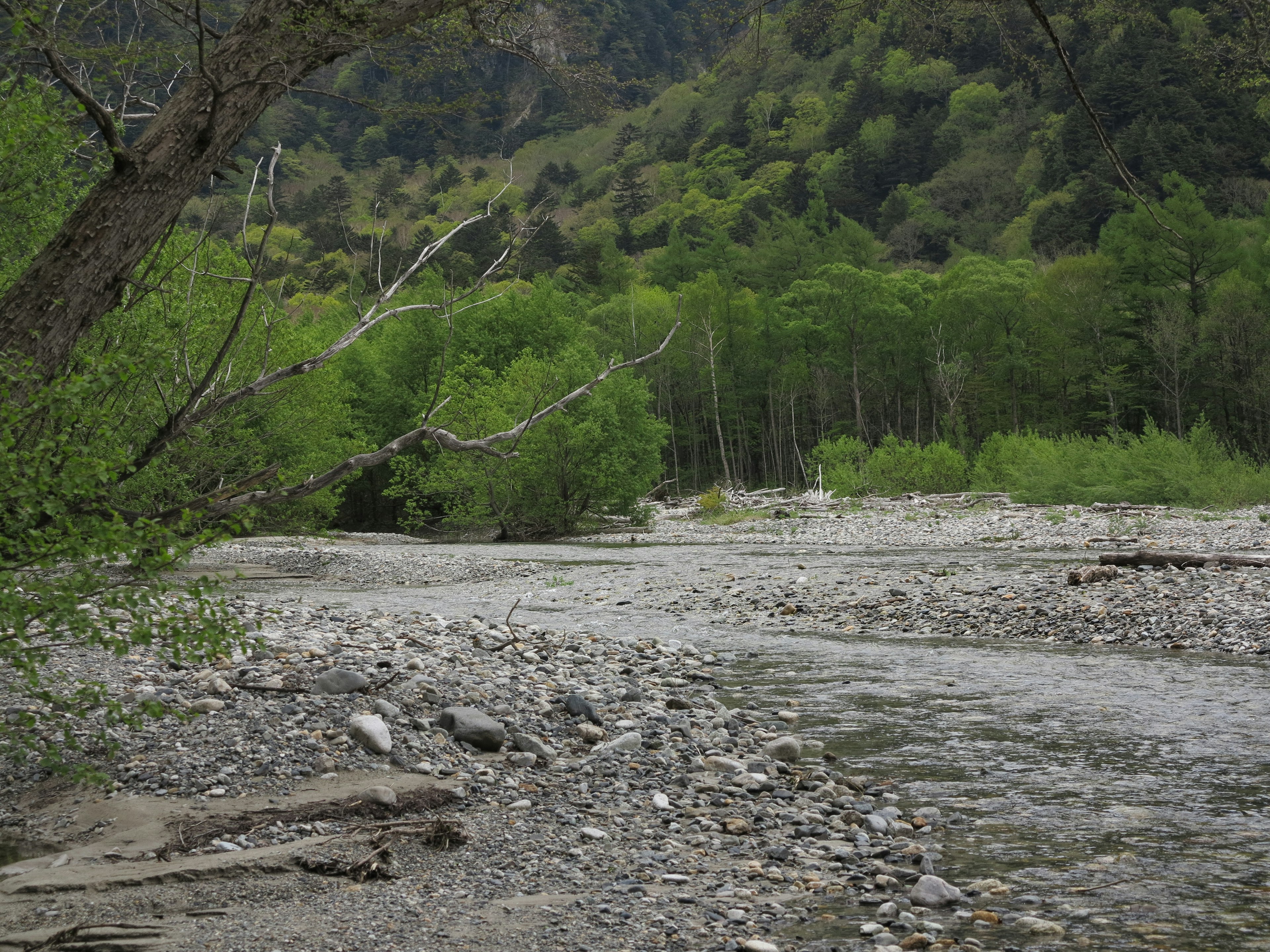 Pemandangan sungai dikelilingi gunung hijau lempeng sungai berbatu dan pohon terlihat