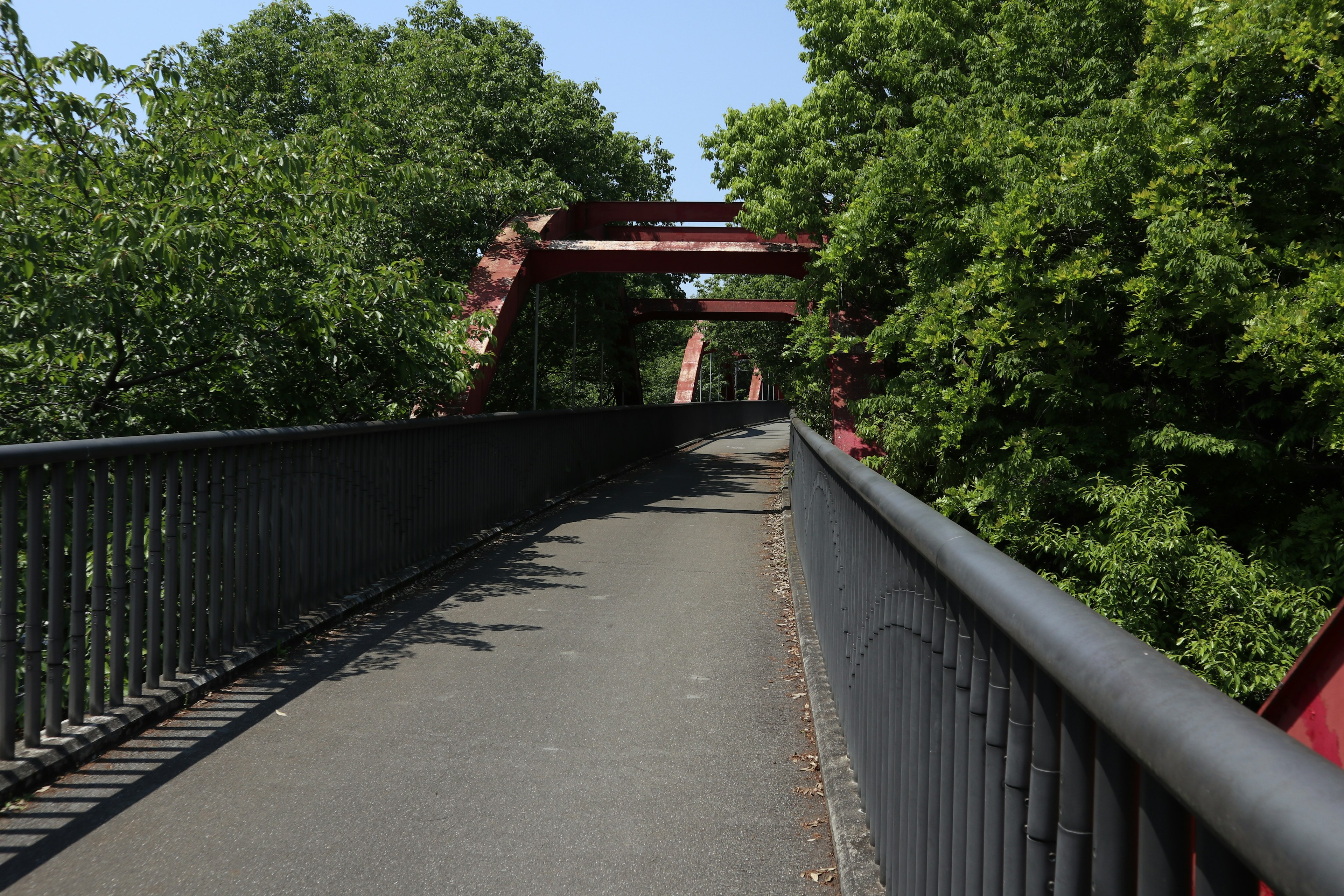 Sendero en un puente rojo rodeado de vegetación