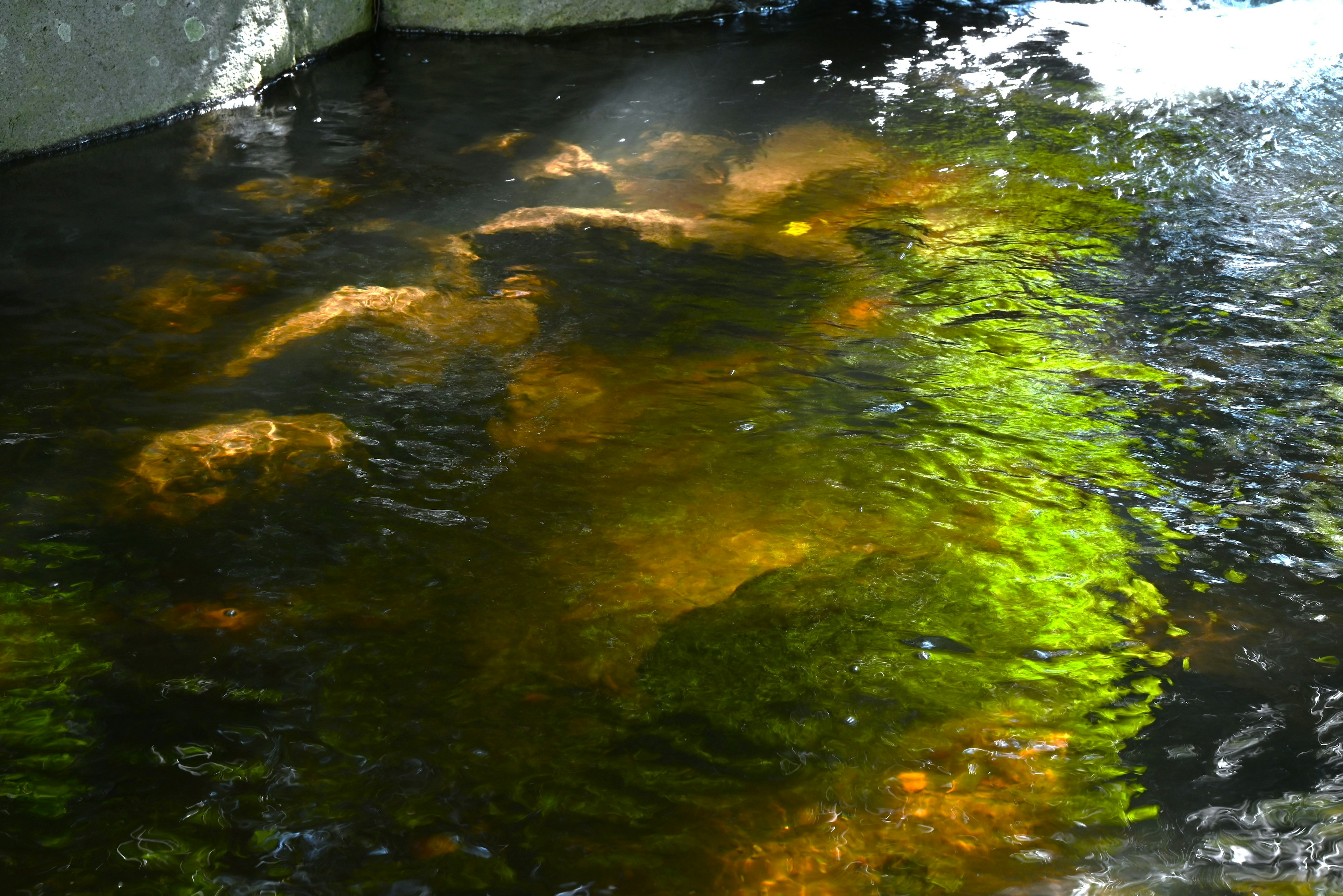 Eau ondulante avec des reflets de lumière verte et des rochers visibles en dessous