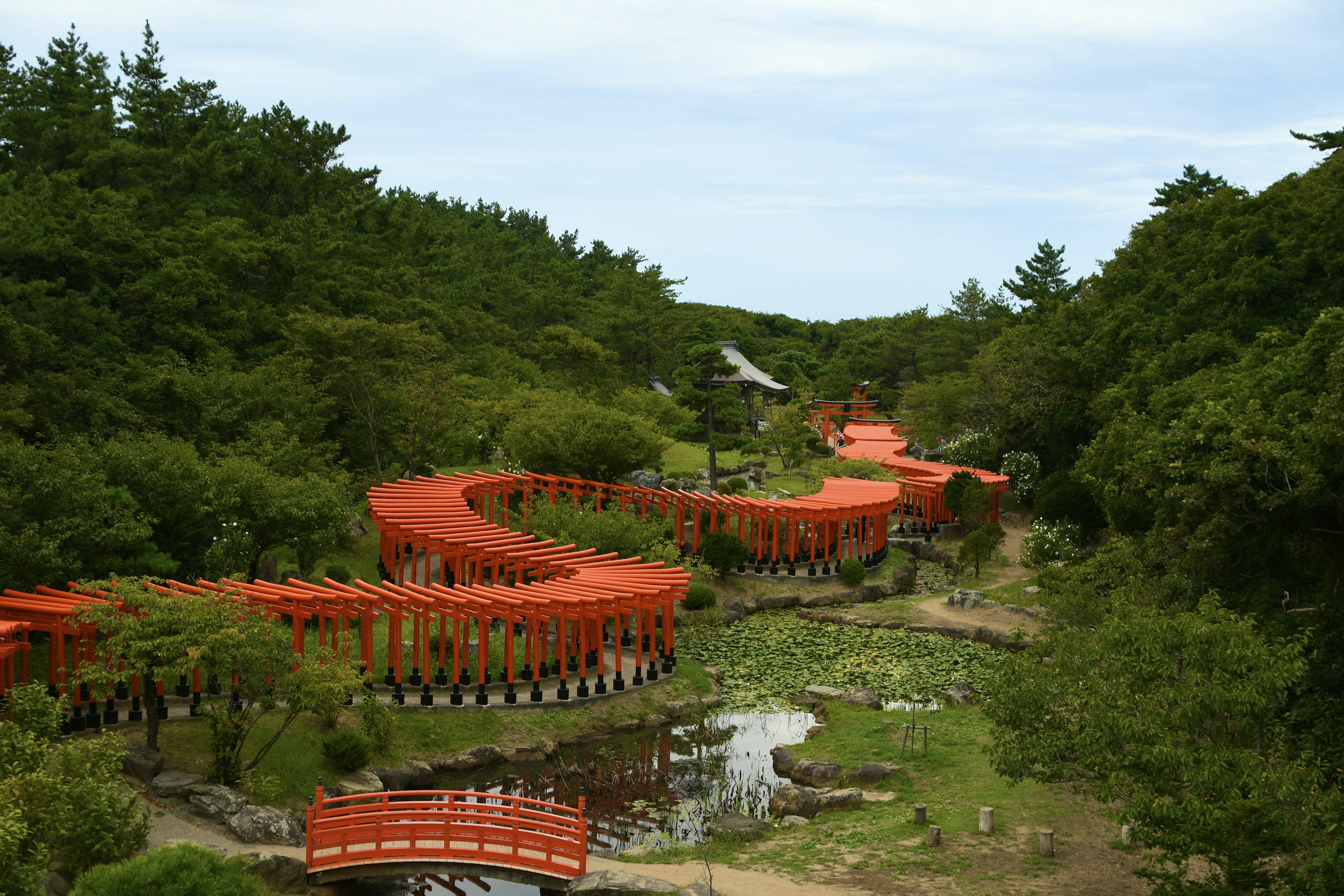 Cảnh quan đẹp của con đường quanh co với các cổng torii đỏ