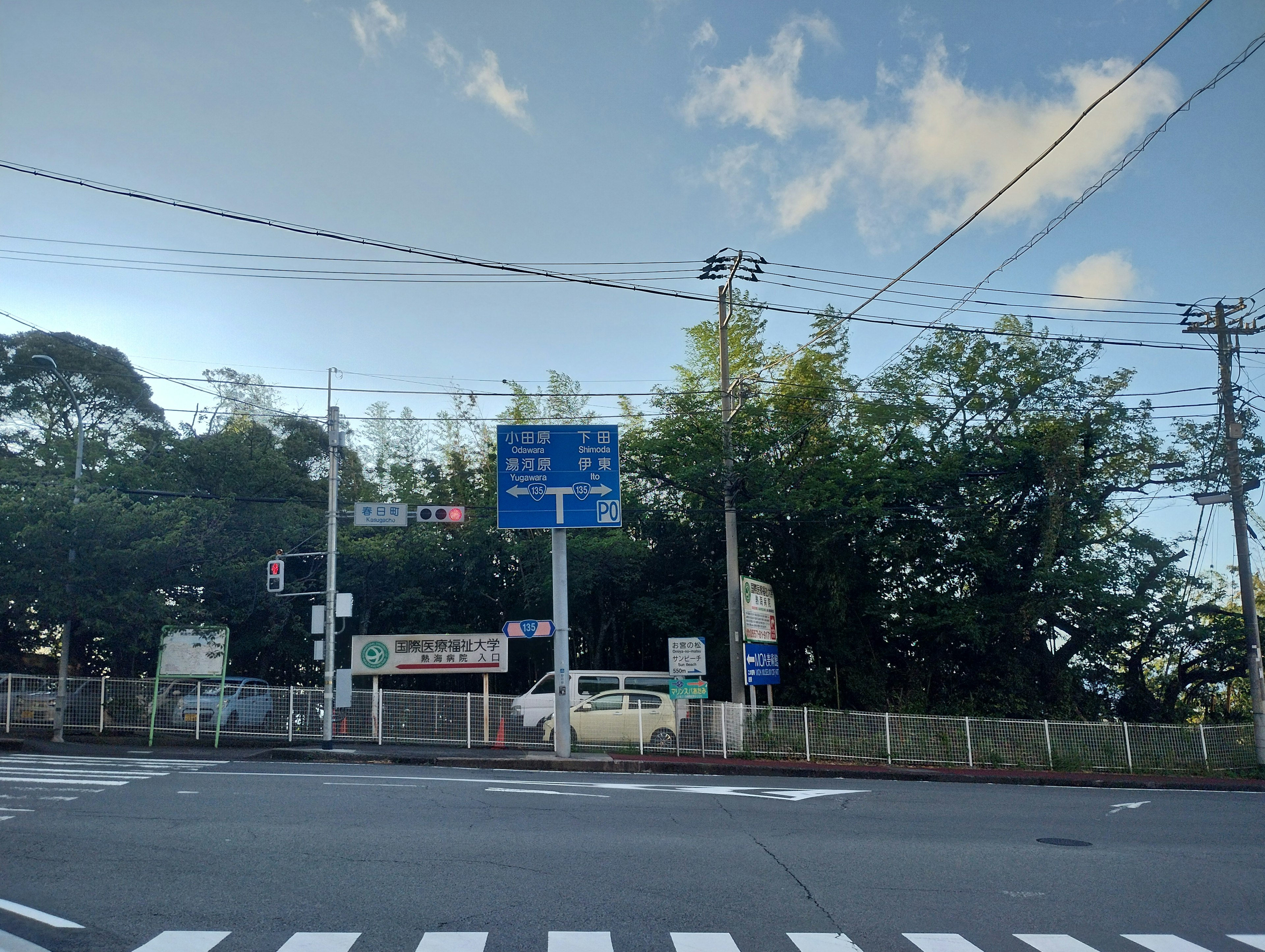 Blue traffic sign at an intersection surrounded by greenery