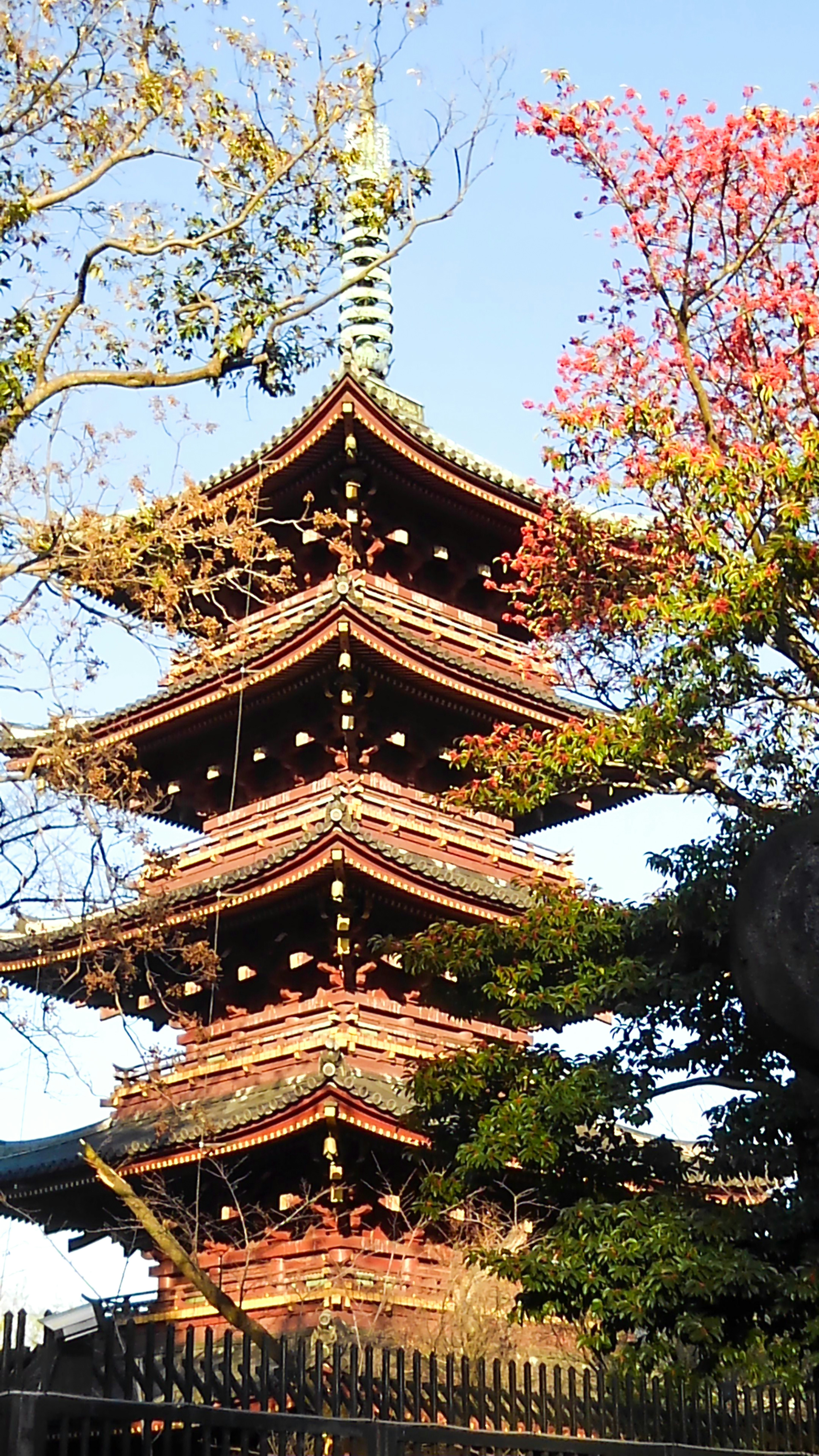 Pagode à cinq étages entourée d'arbres colorés