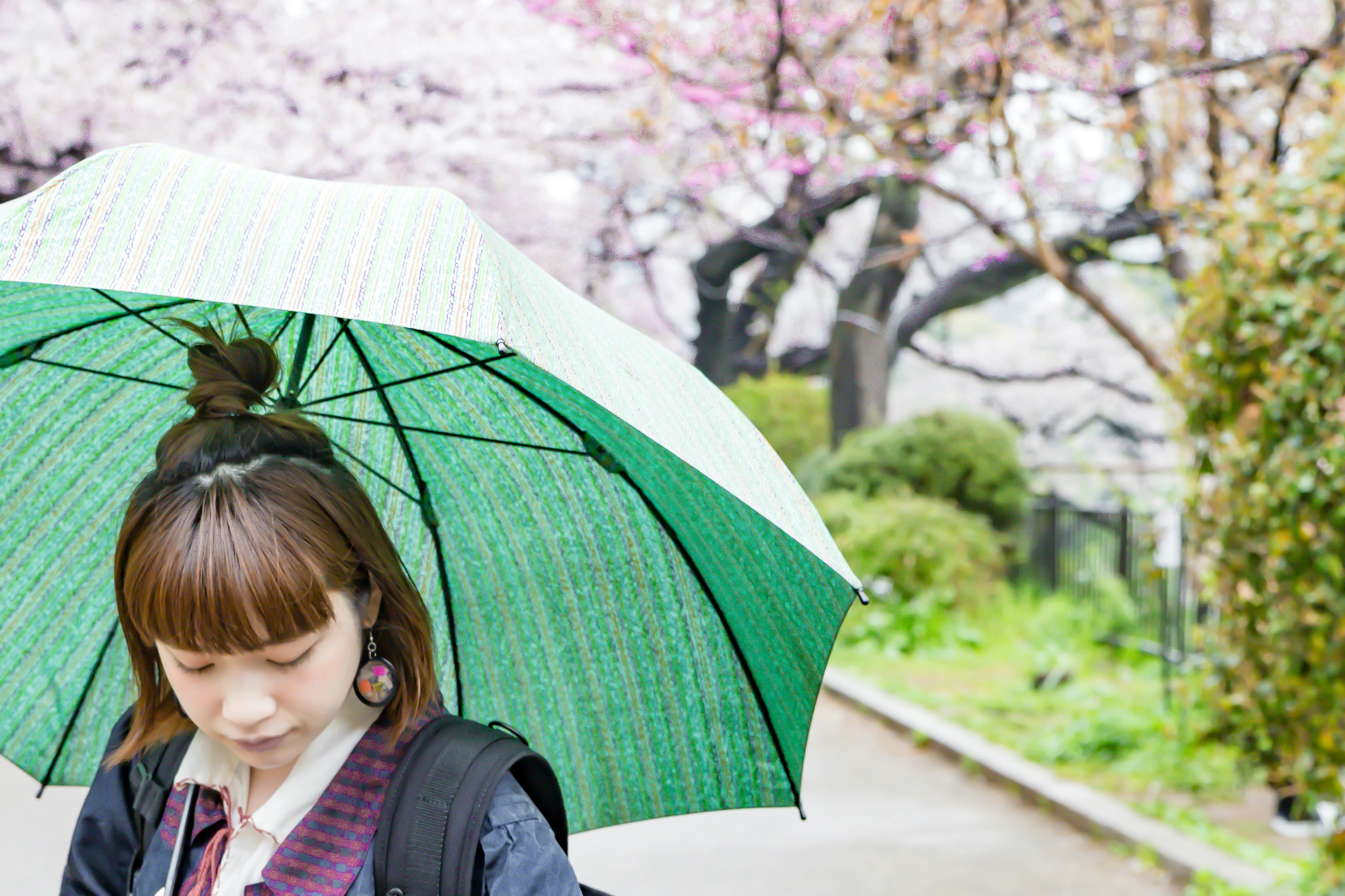 Seorang wanita memegang payung hijau di bawah pohon sakura