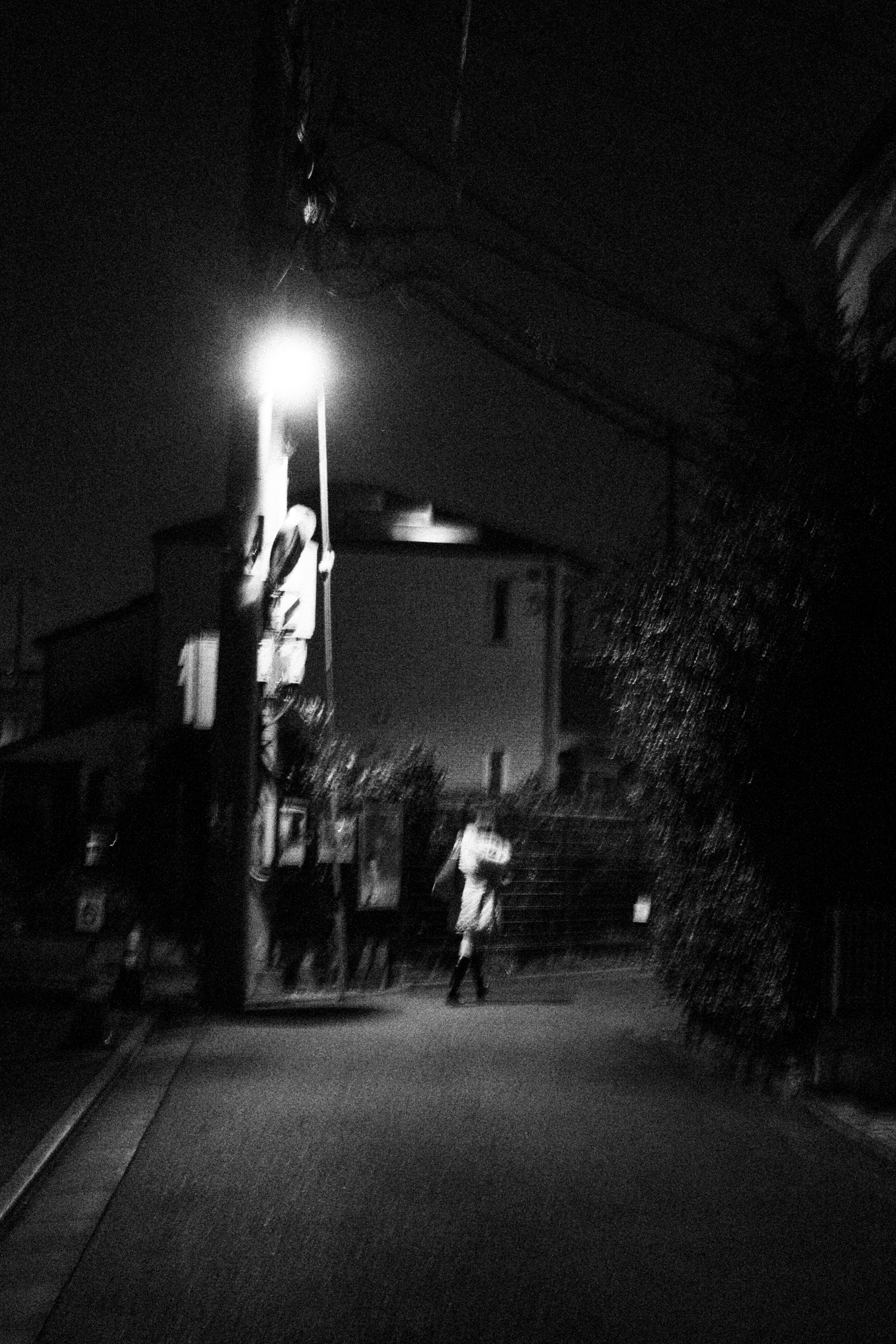 Silhouettes of people standing under streetlight at night