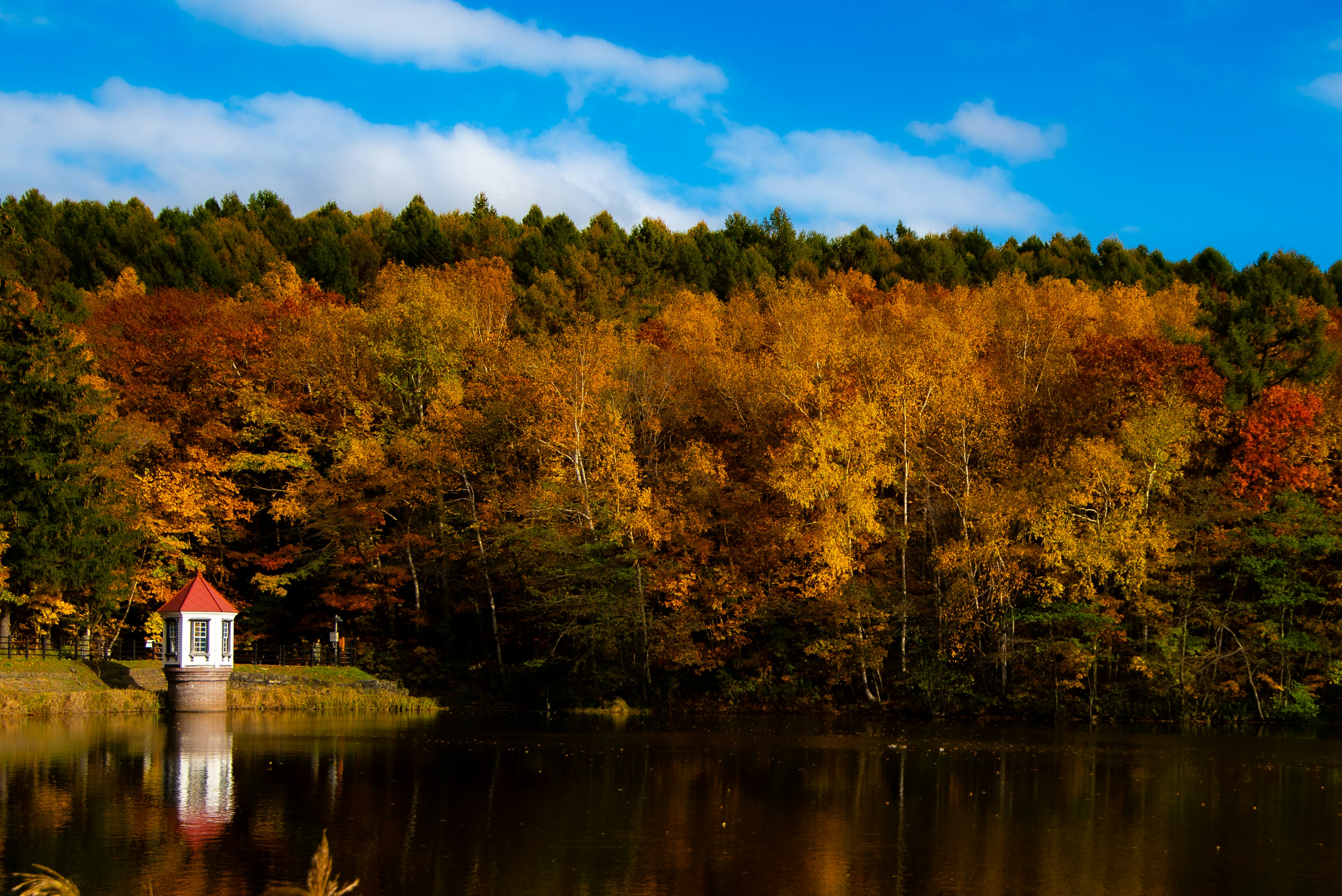 Schöne Herbstlandschaft mit buntem Laub und einem ruhigen See mit einer weißen Laube in der Nähe