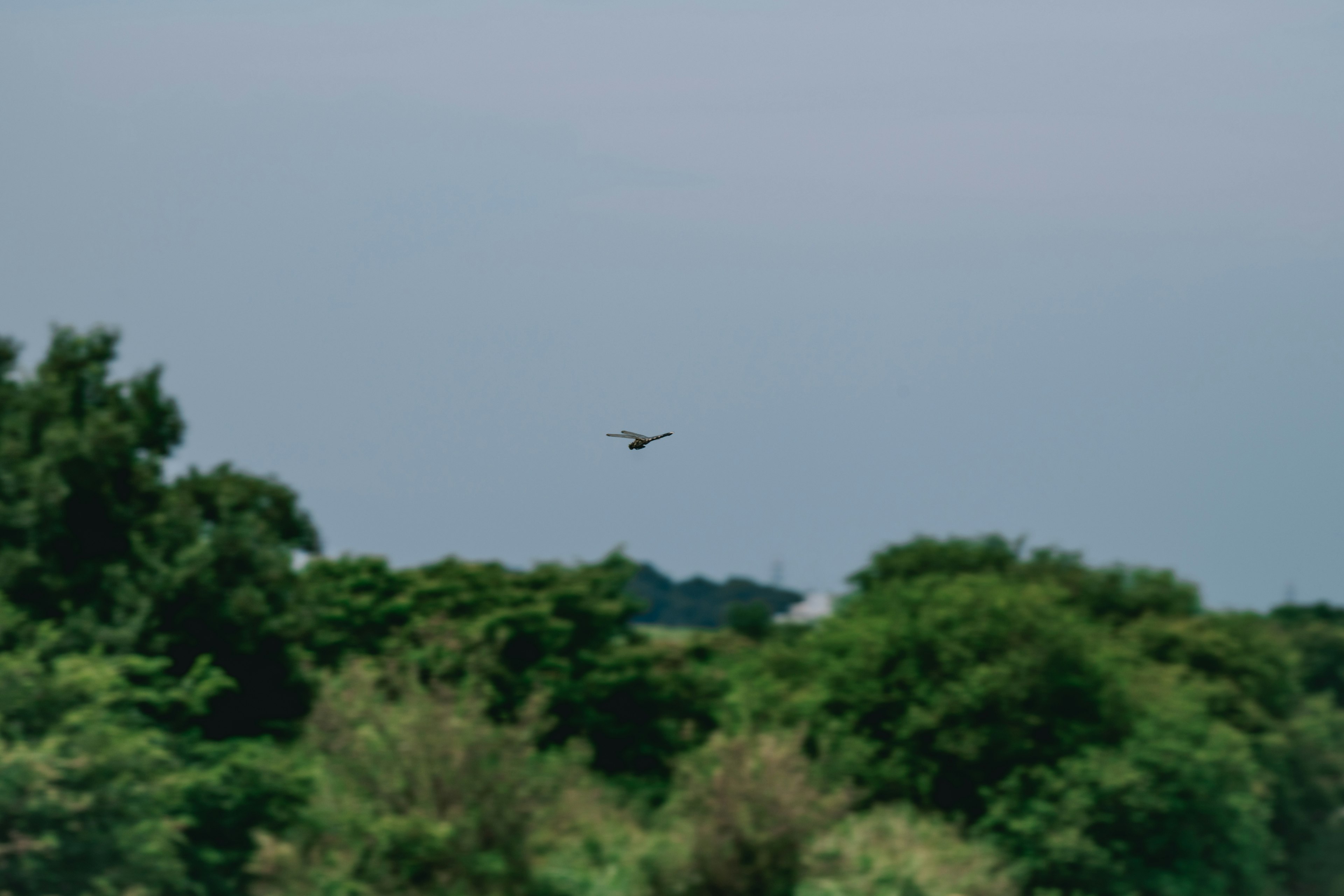 A small drone flying in the sky above green trees