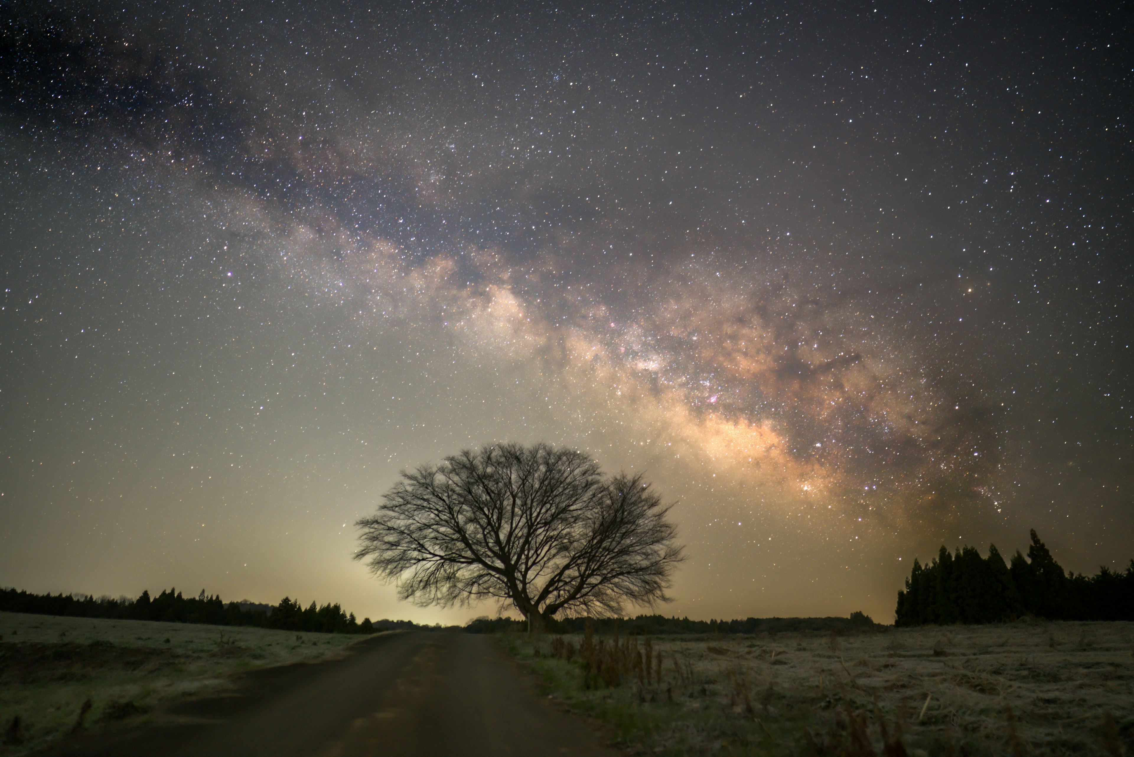 Ein einsamer Baum unter einem sternenklaren Himmel mit der Milchstraße im Hintergrund