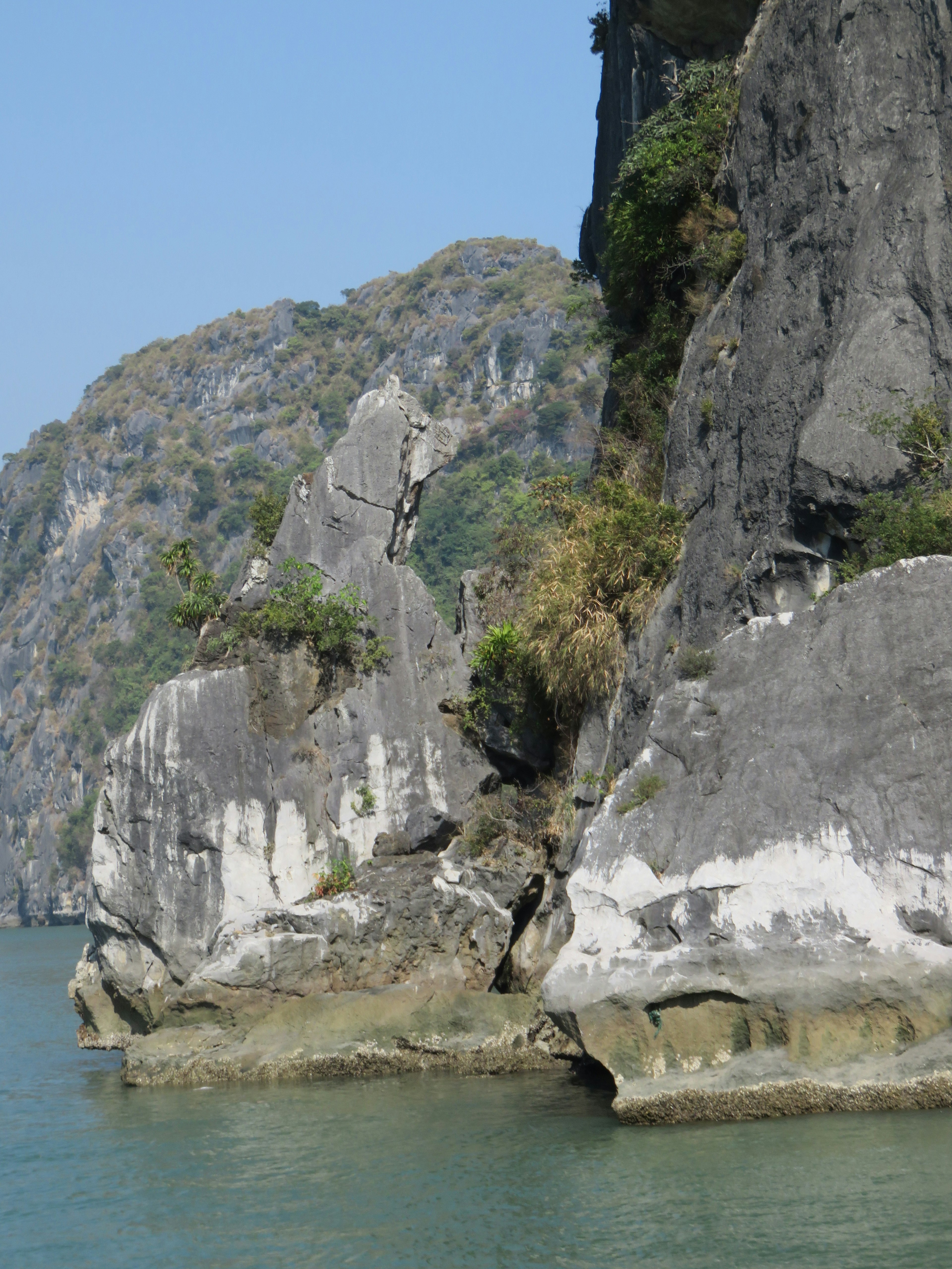 蓝色水域旁的岩石悬崖与绿植的风景