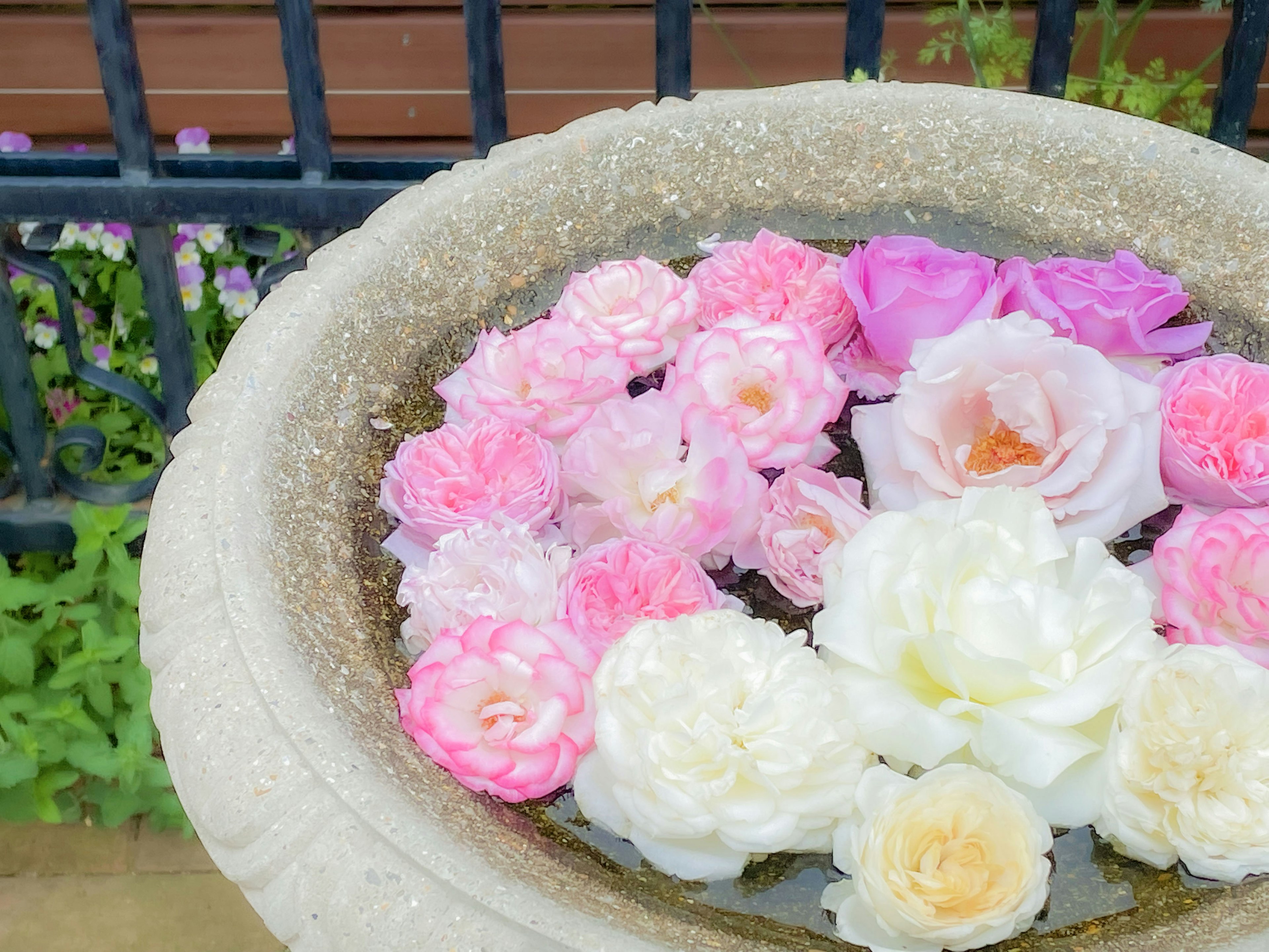 Colorful flowers floating in a stone bowl