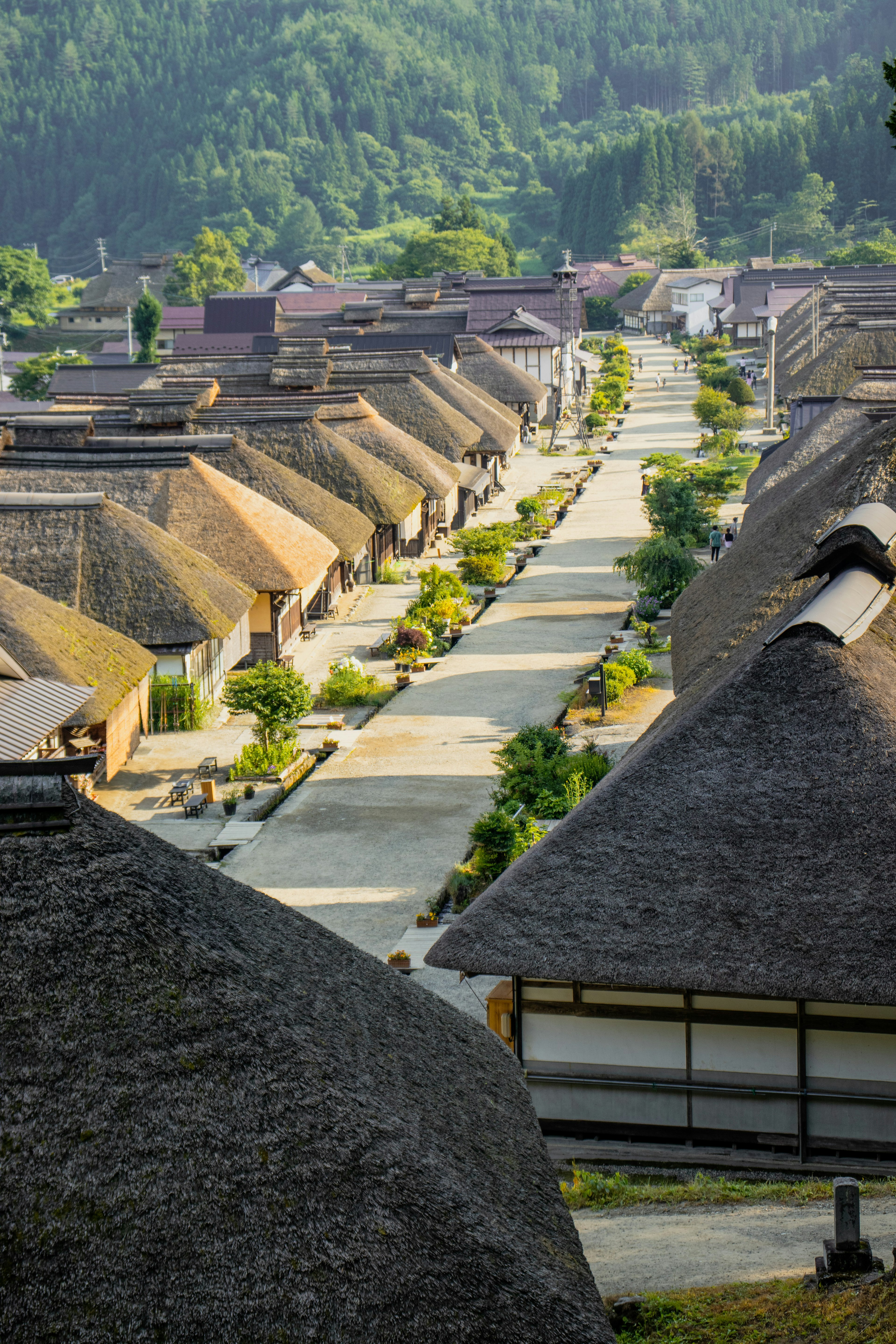 日本の伝統的な茅葺き屋根の家々が並ぶ風景