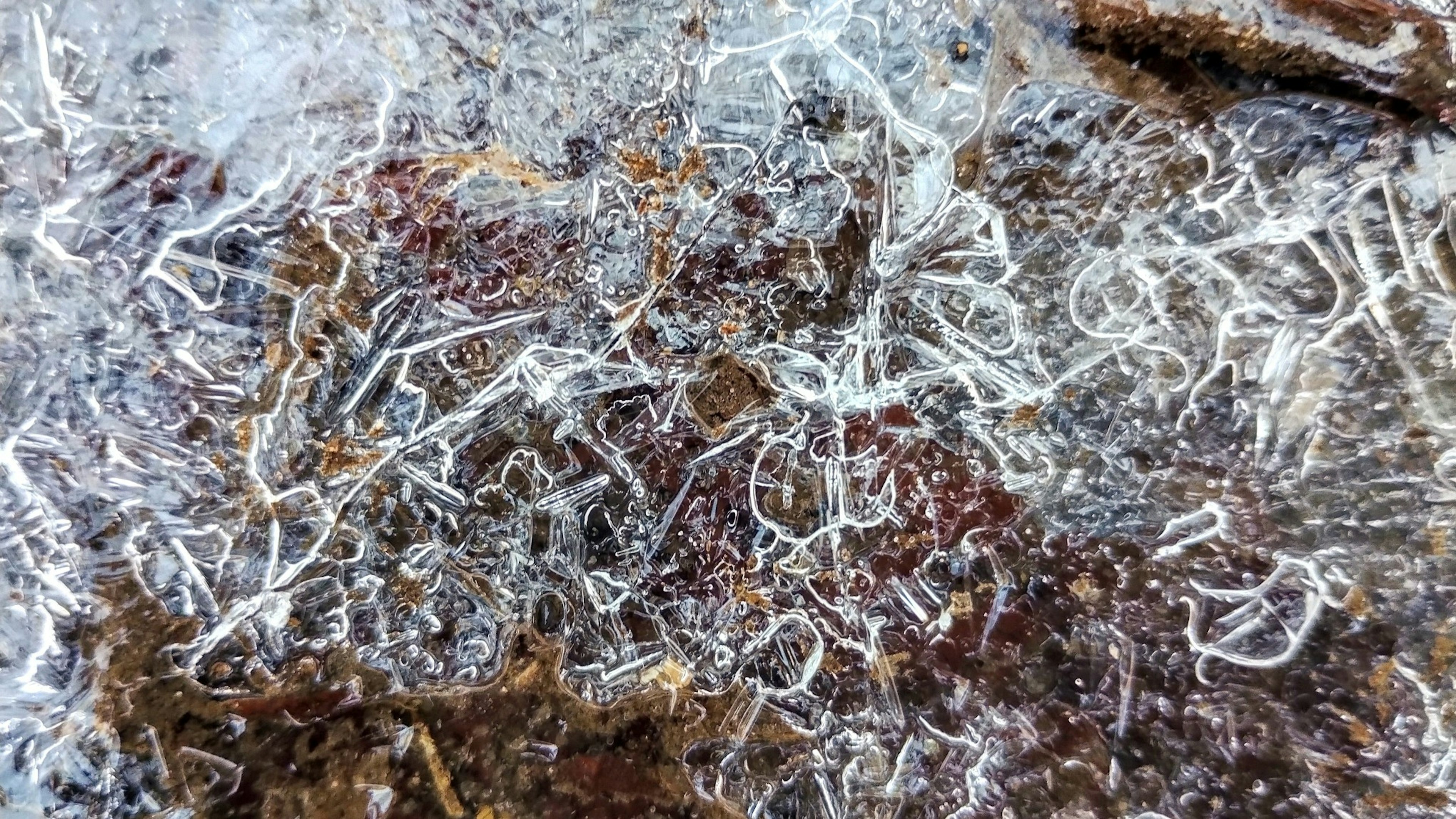 Close-up of soil with intertwined white thread-like structures