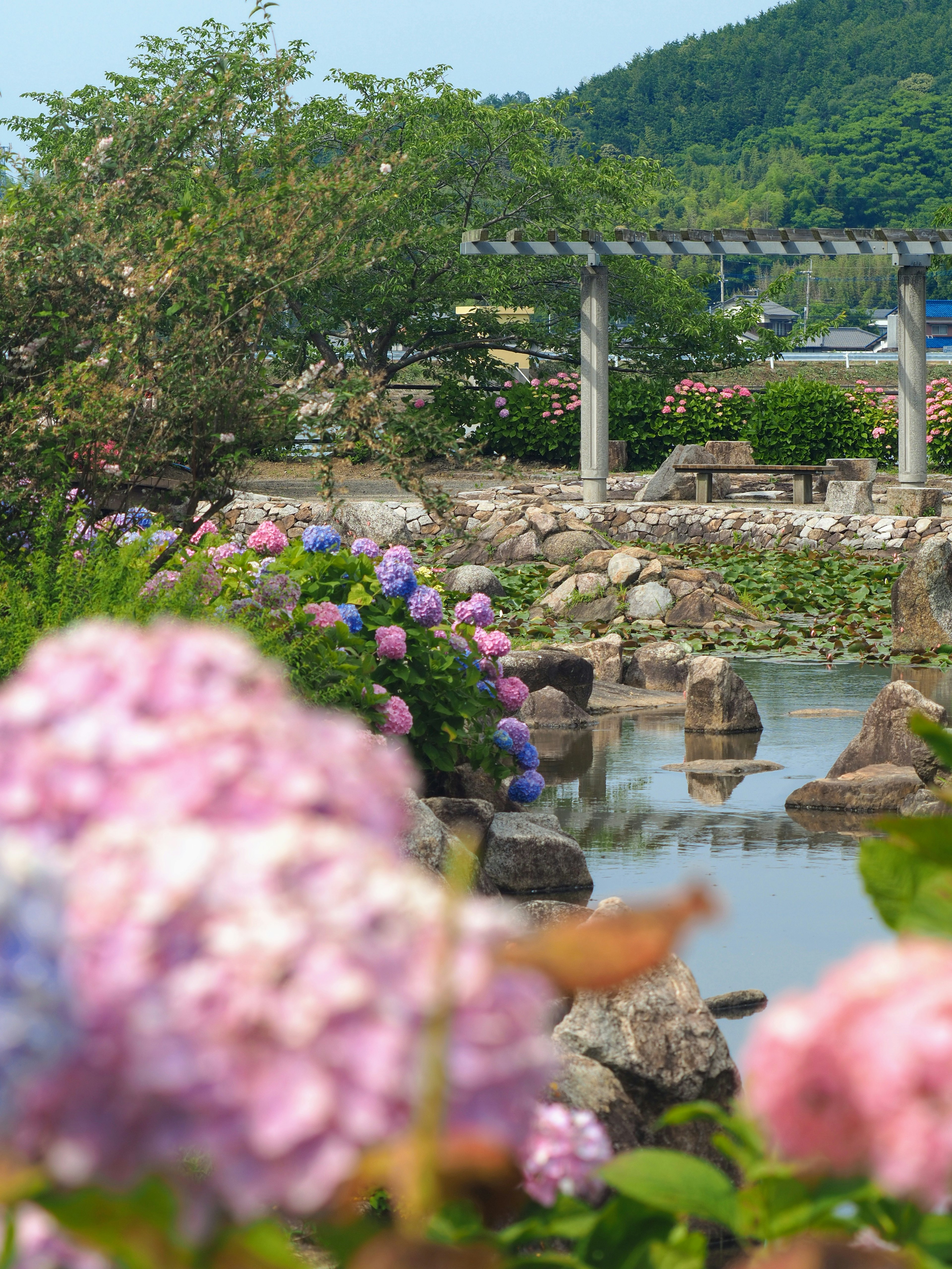 Vista di un giardino pittoresco con ortensie in fiore e un laghetto tranquillo