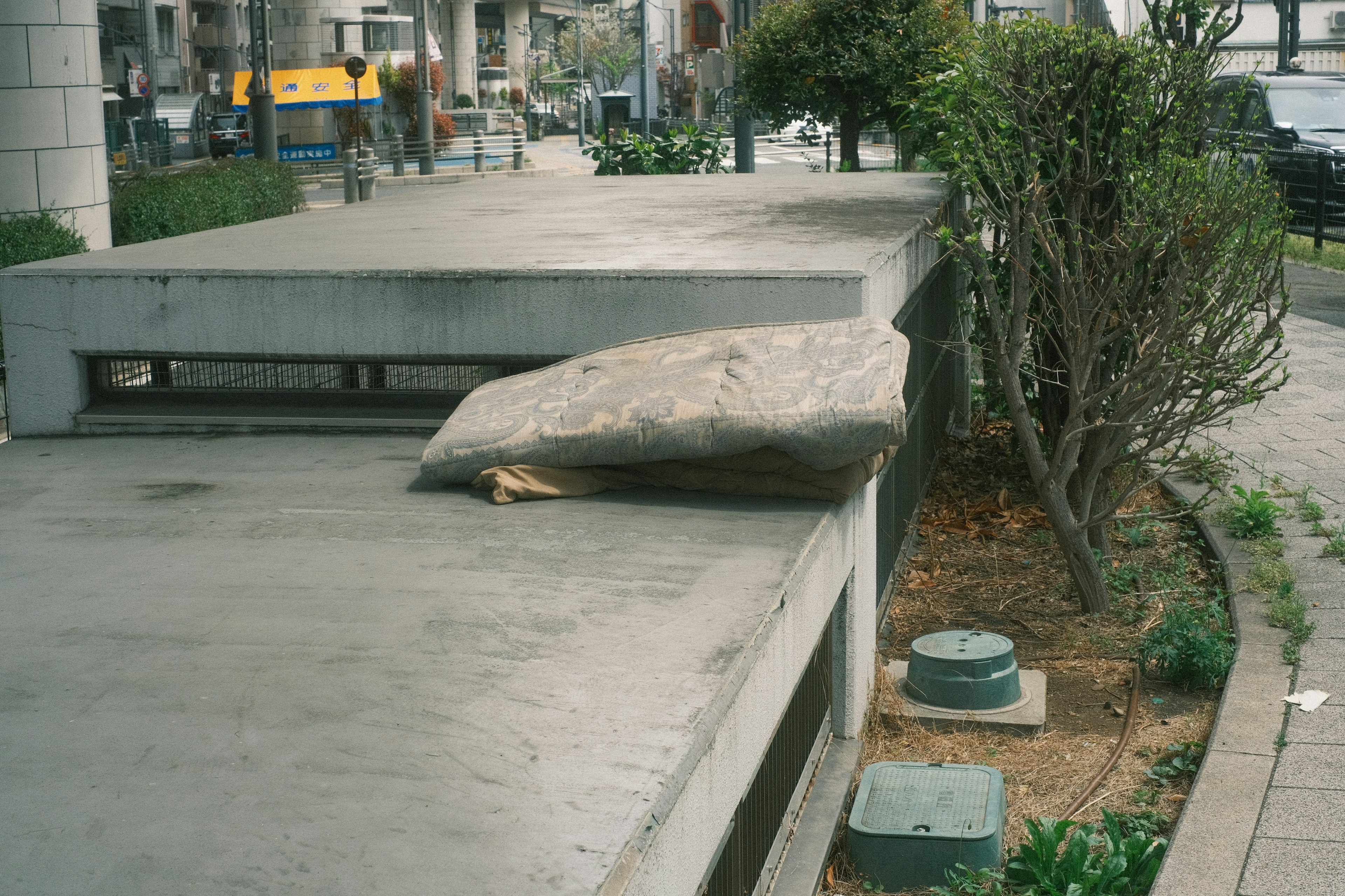 コンクリートのベンチと周囲の緑の植物が写っている