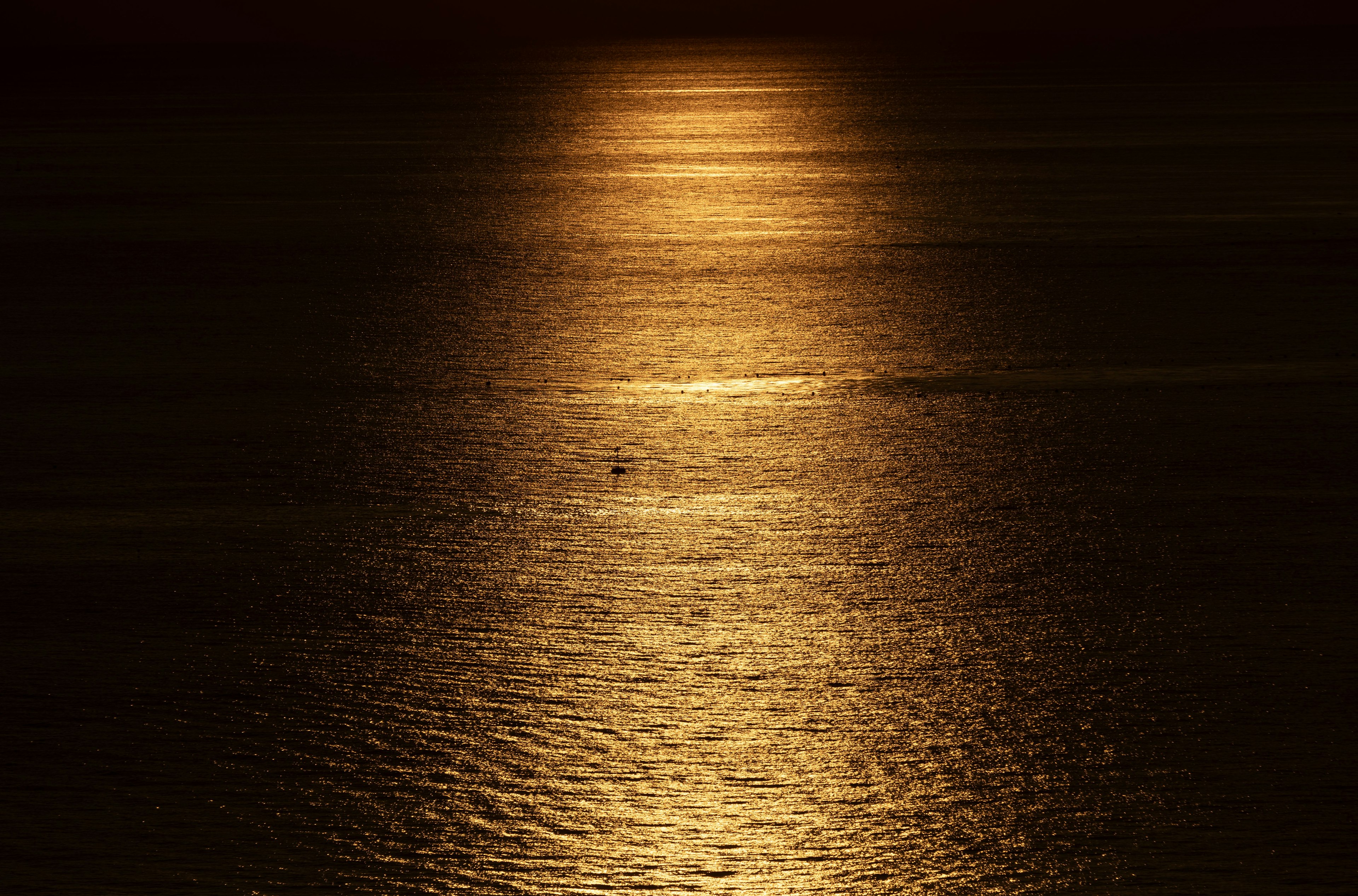 Schönes goldenes Licht, das sich bei Sonnenuntergang auf der Wasseroberfläche spiegelt