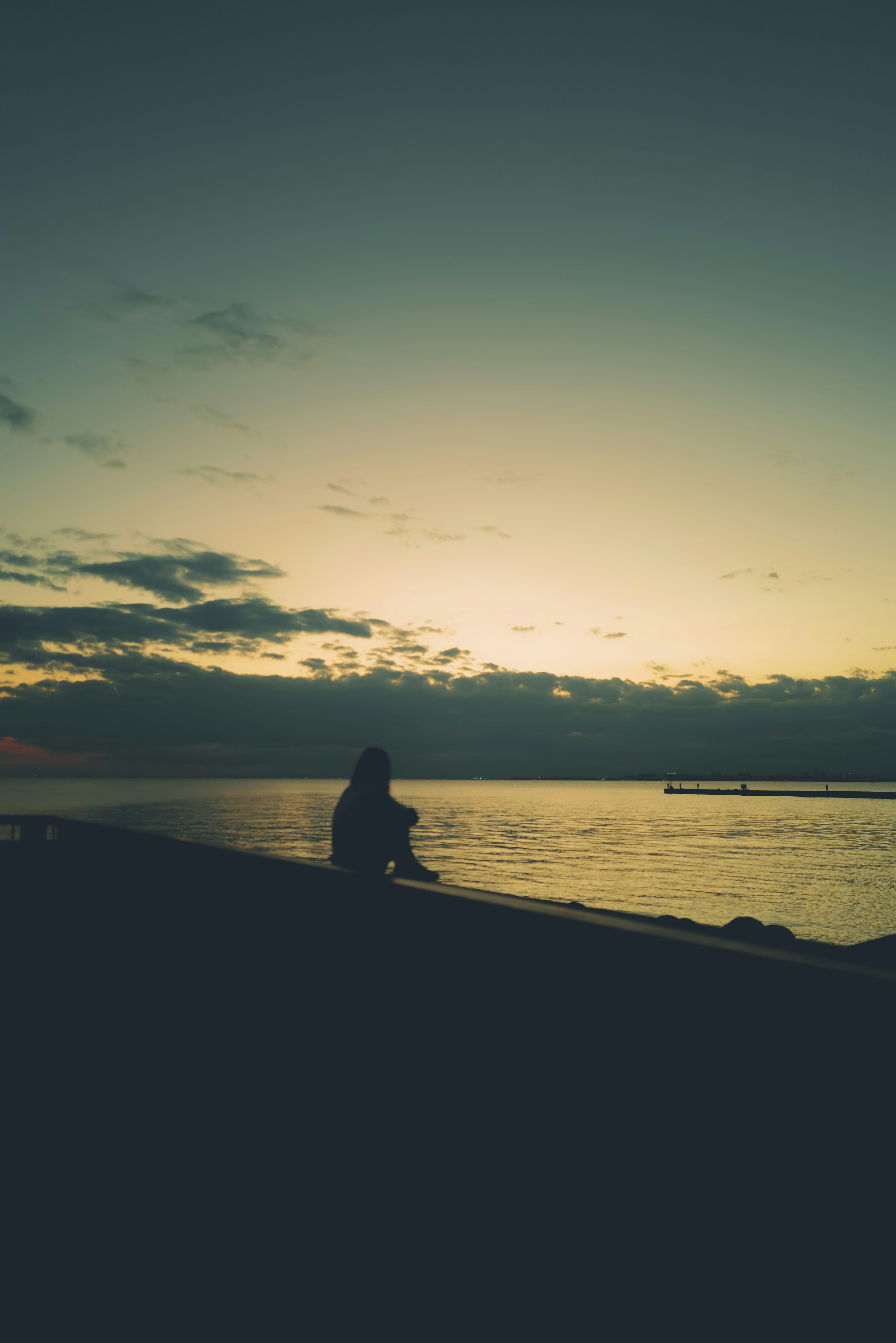 夕暮れ時の海岸に座る人のシルエット