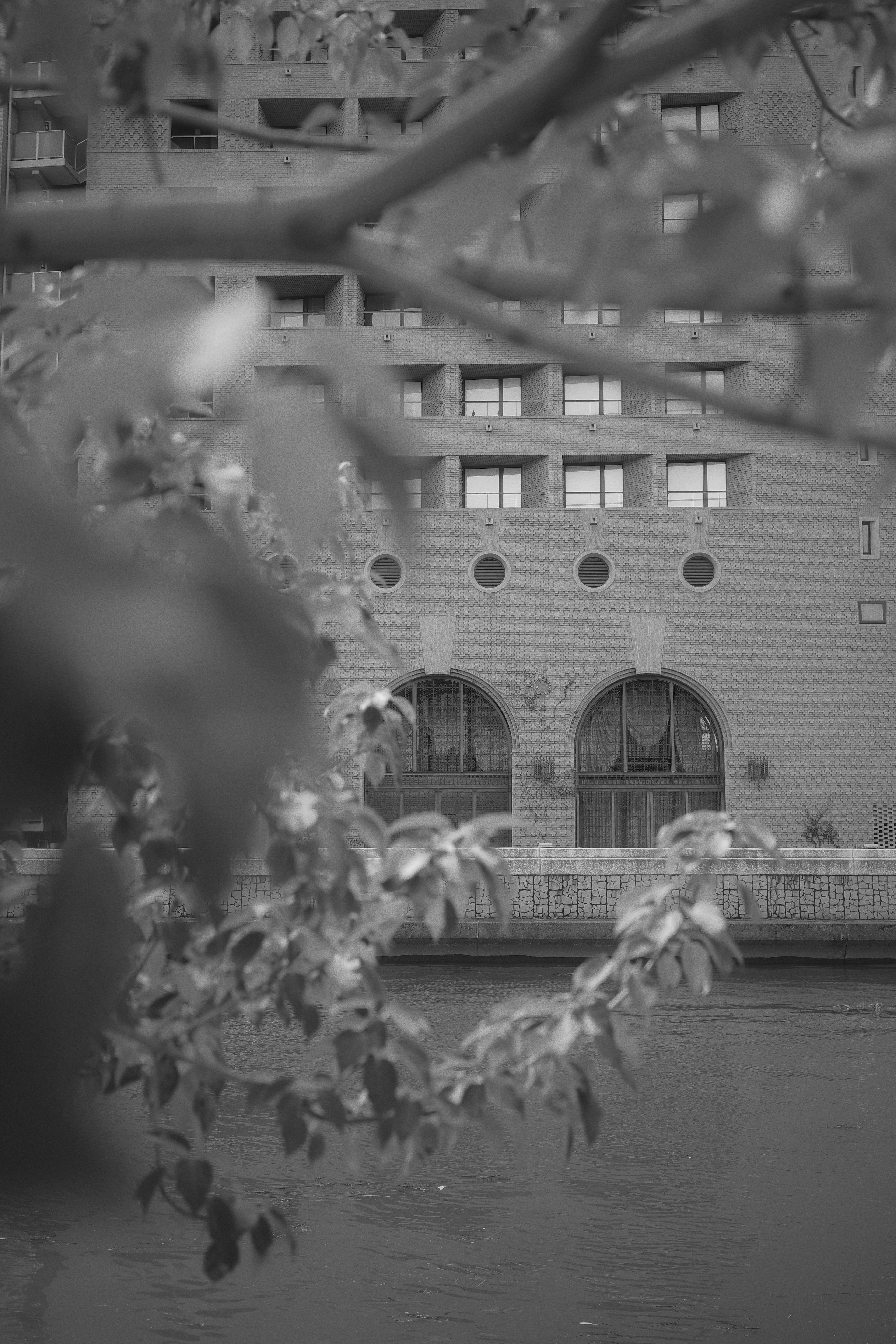 Partial view of tree leaves in front of a waterfront building with reddish-brown brick walls