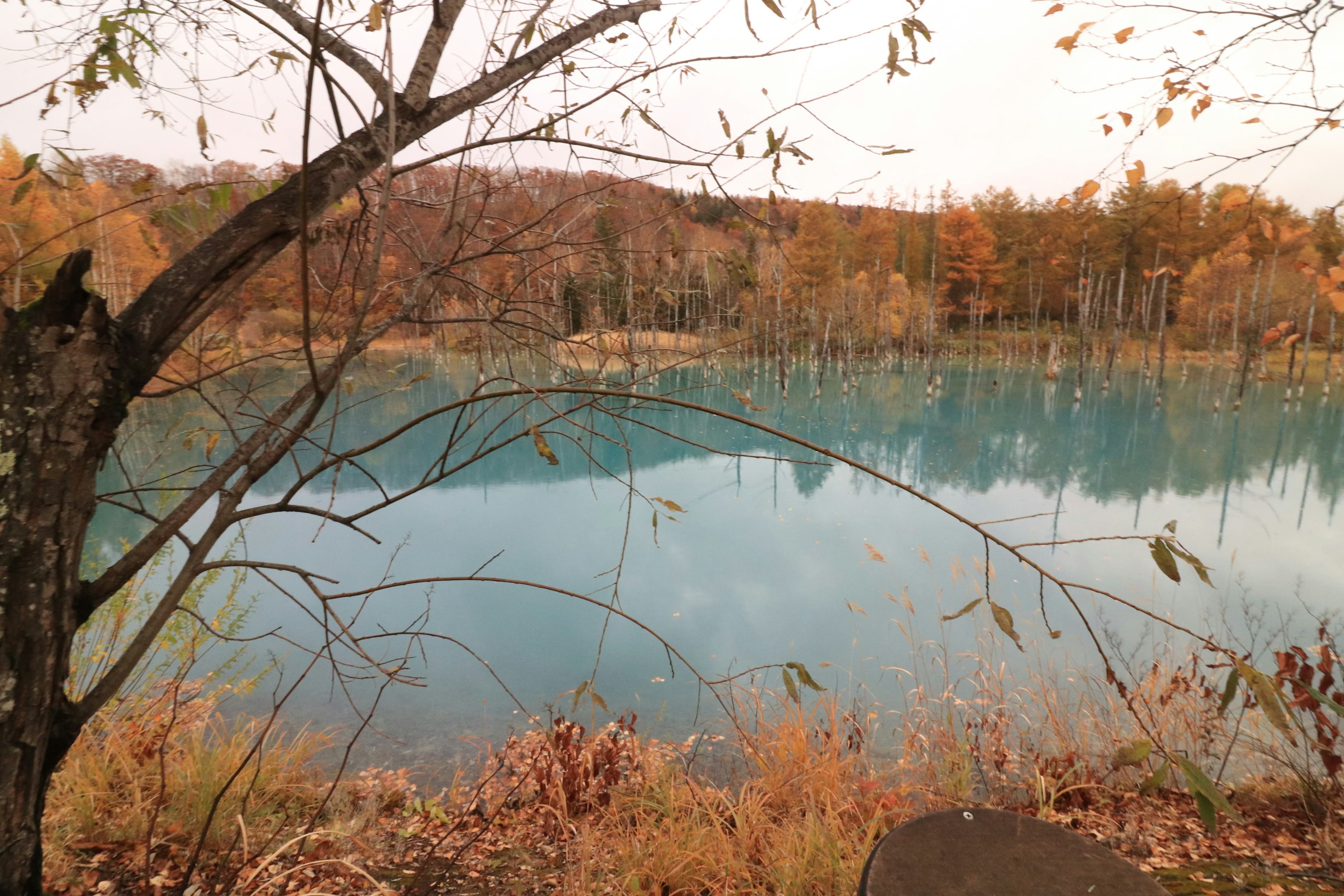 Ruhiger blauer See umgeben von herbstlichem Laub