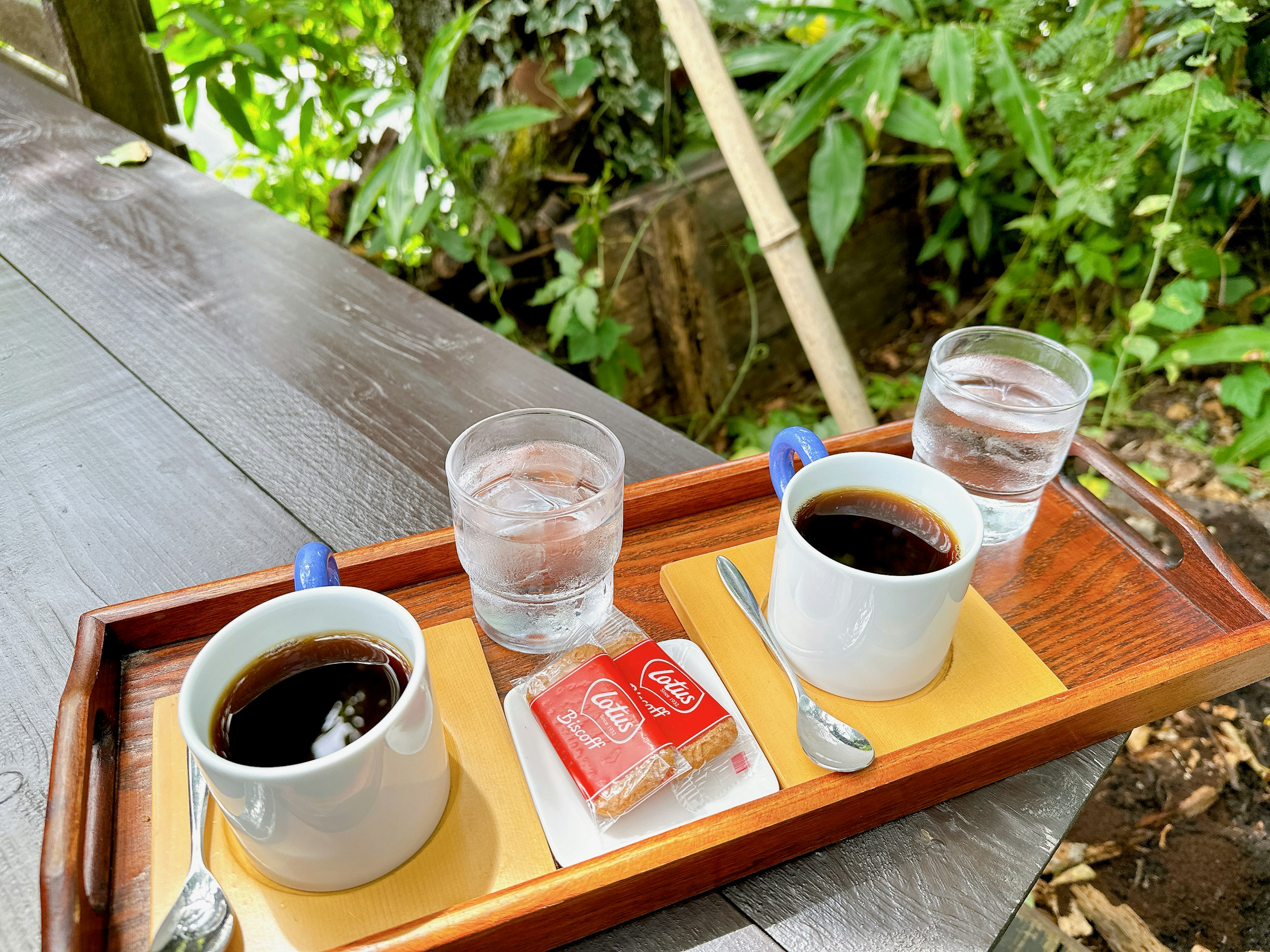 コーヒーと水のカップが並んだトレイの写真 緑の植物に囲まれたリラックスした雰囲気