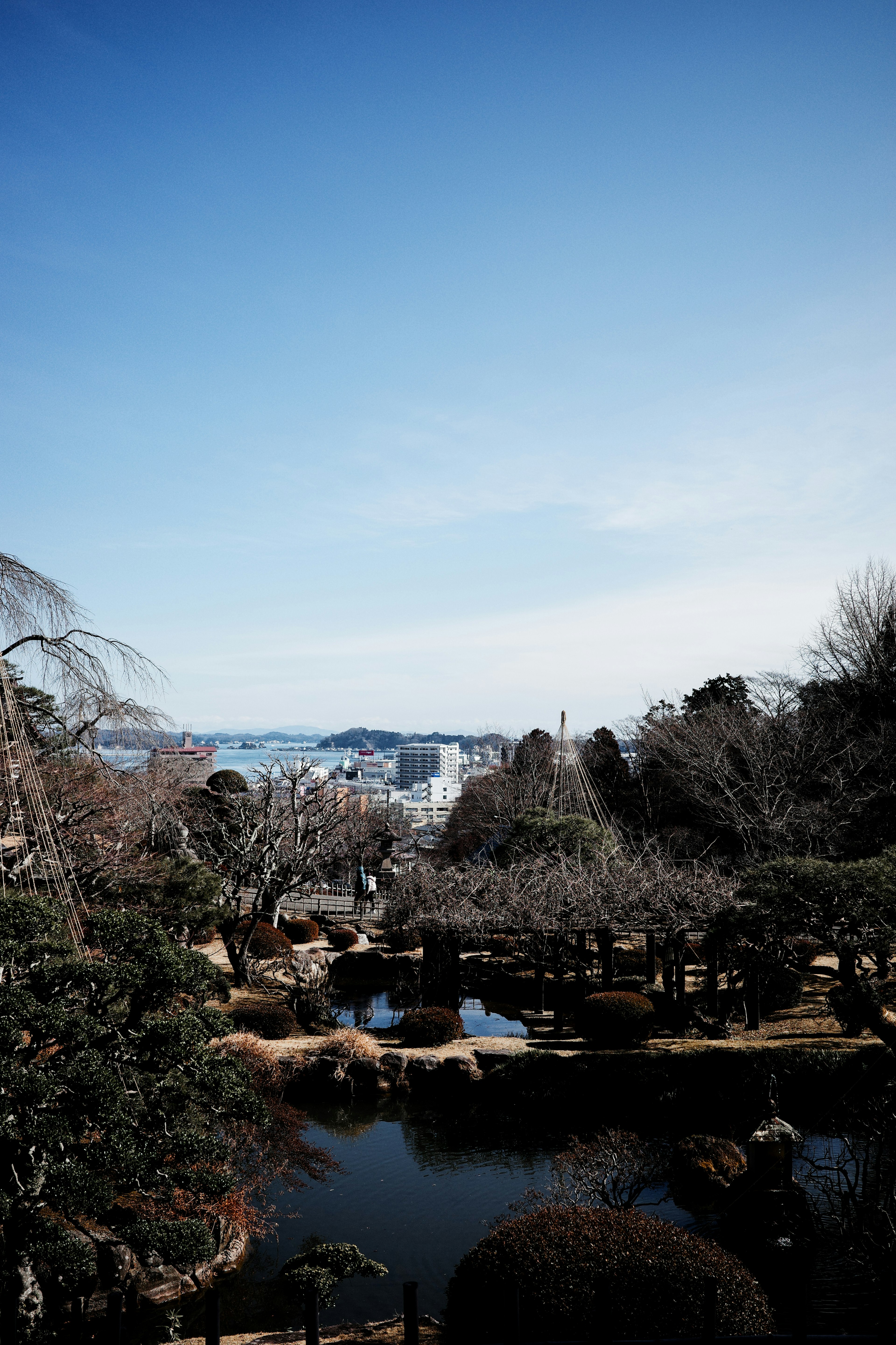 Vue pittoresque d'un jardin japonais avec un étang et des arbres sous un ciel bleu