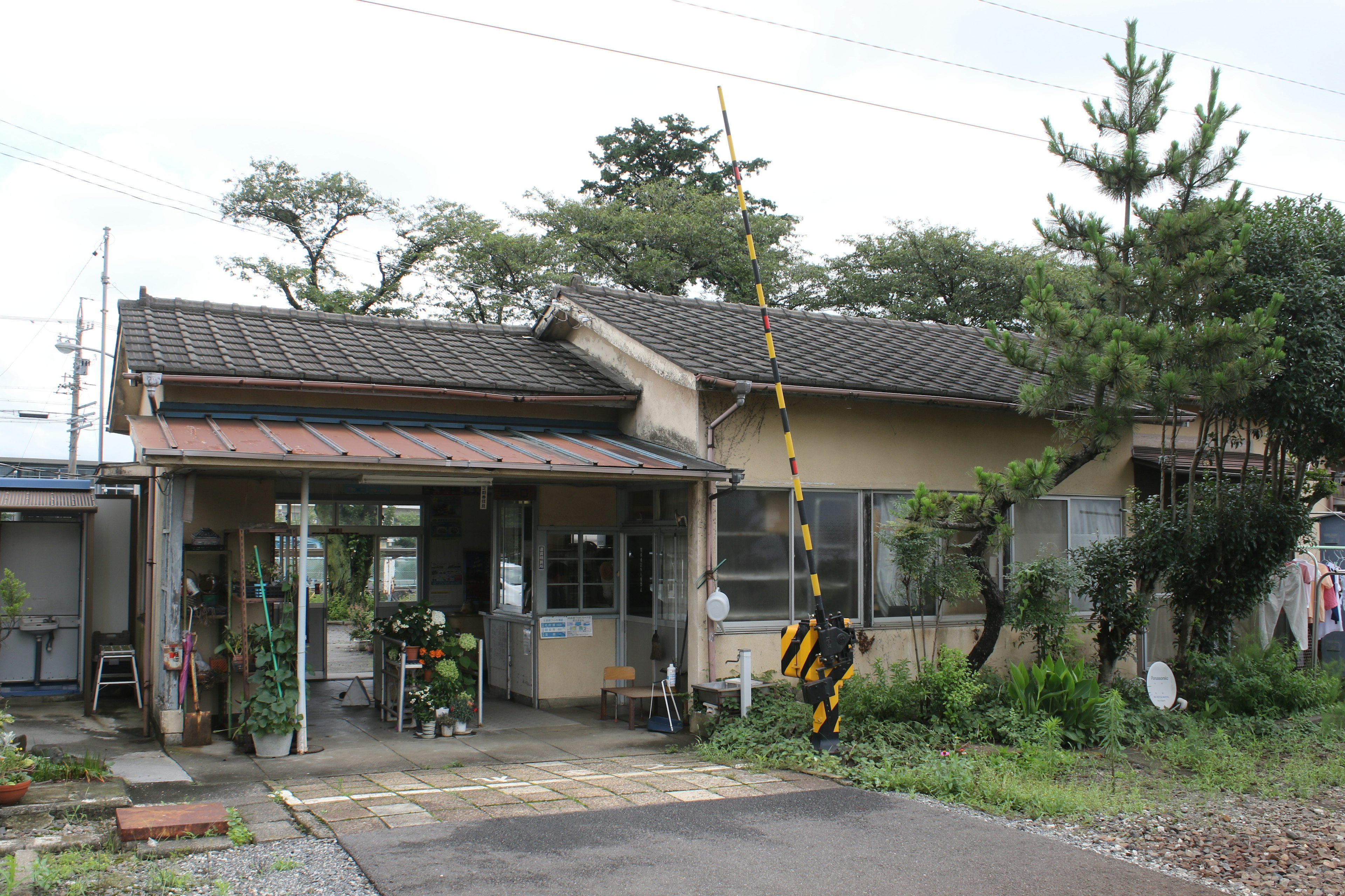 Estación de tren rural con vegetación circundante