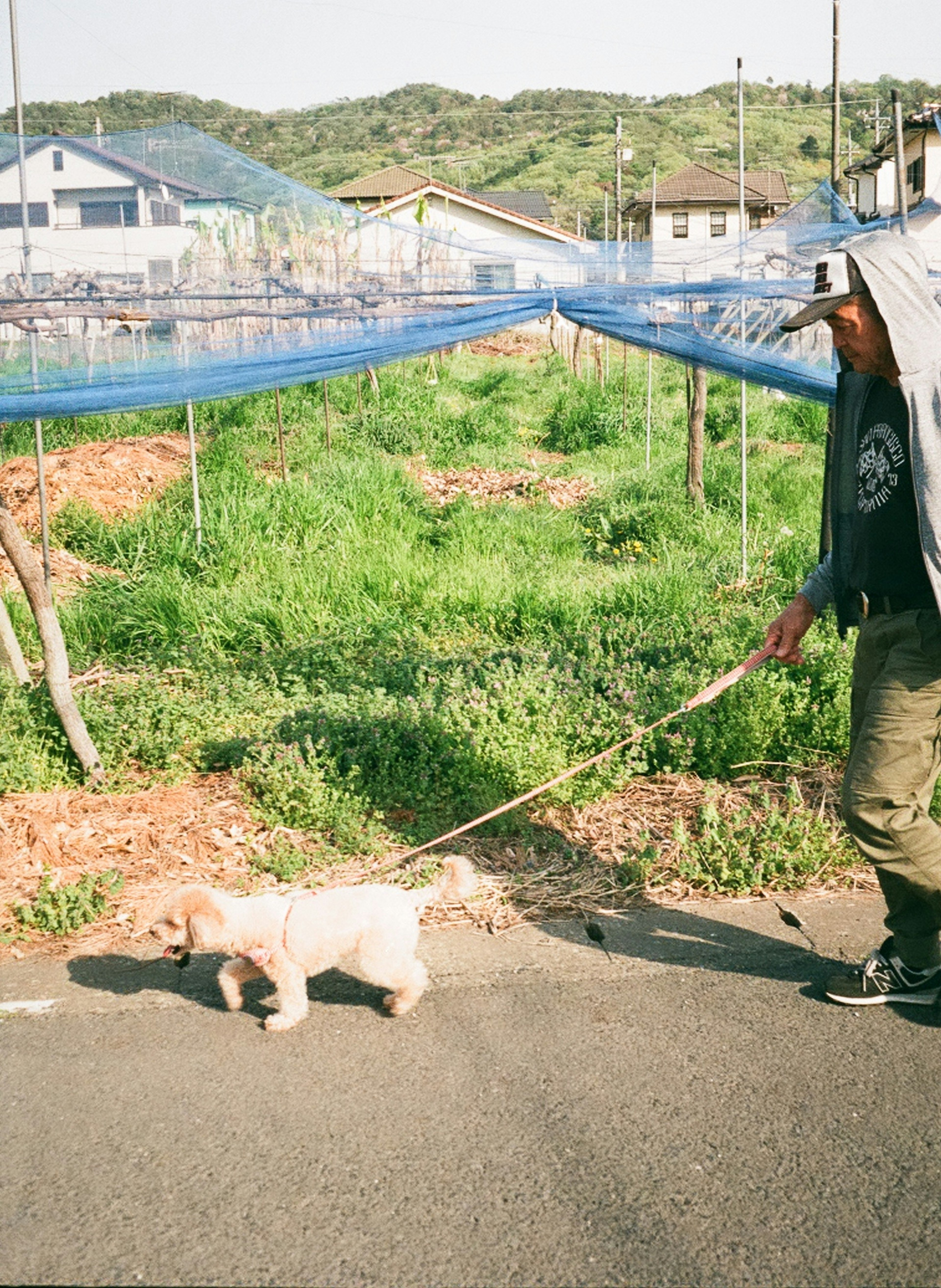 男人牵着狗，背景有蓝色网子