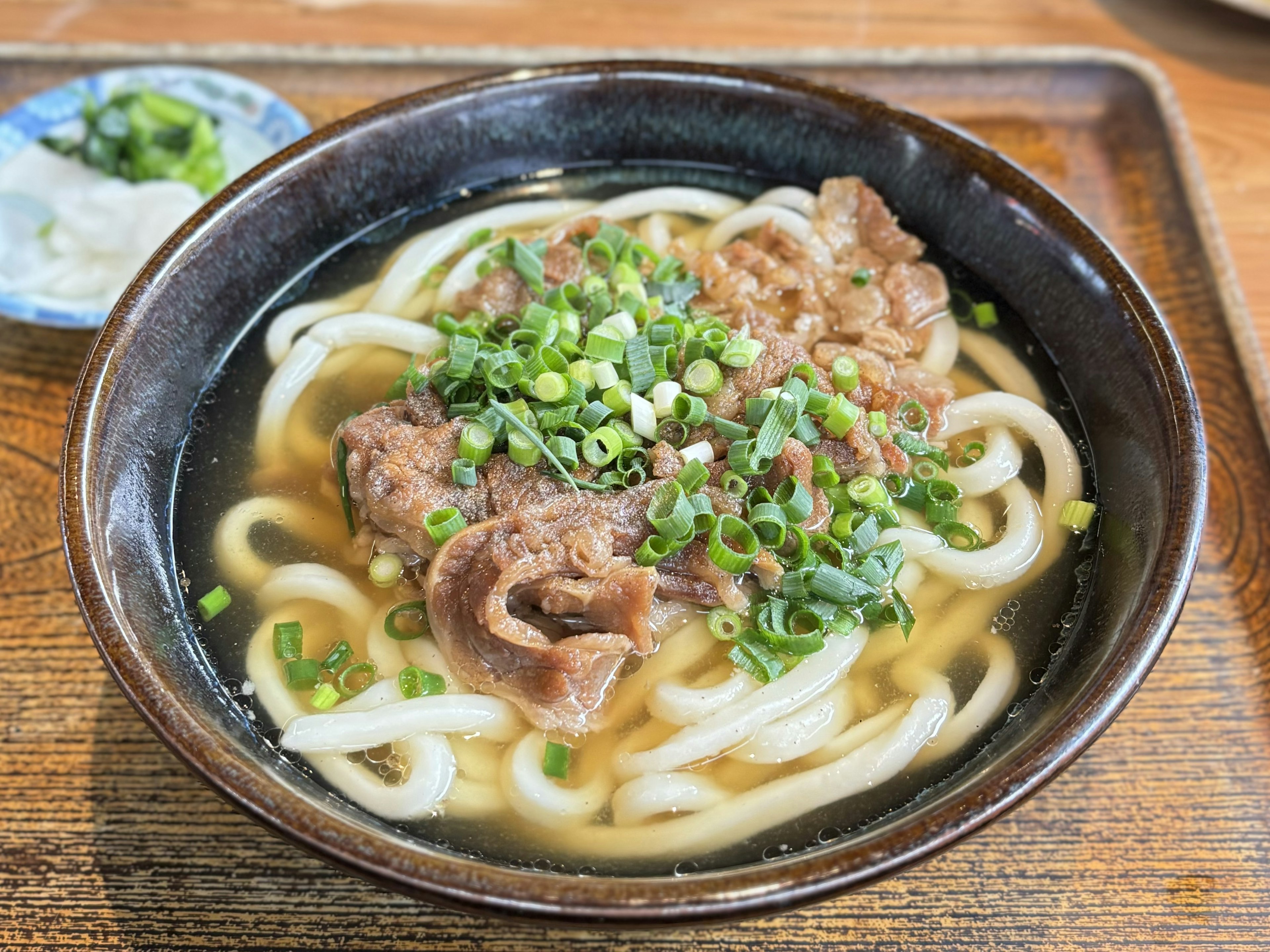 牛肉とネギがトッピングされたうどんの器