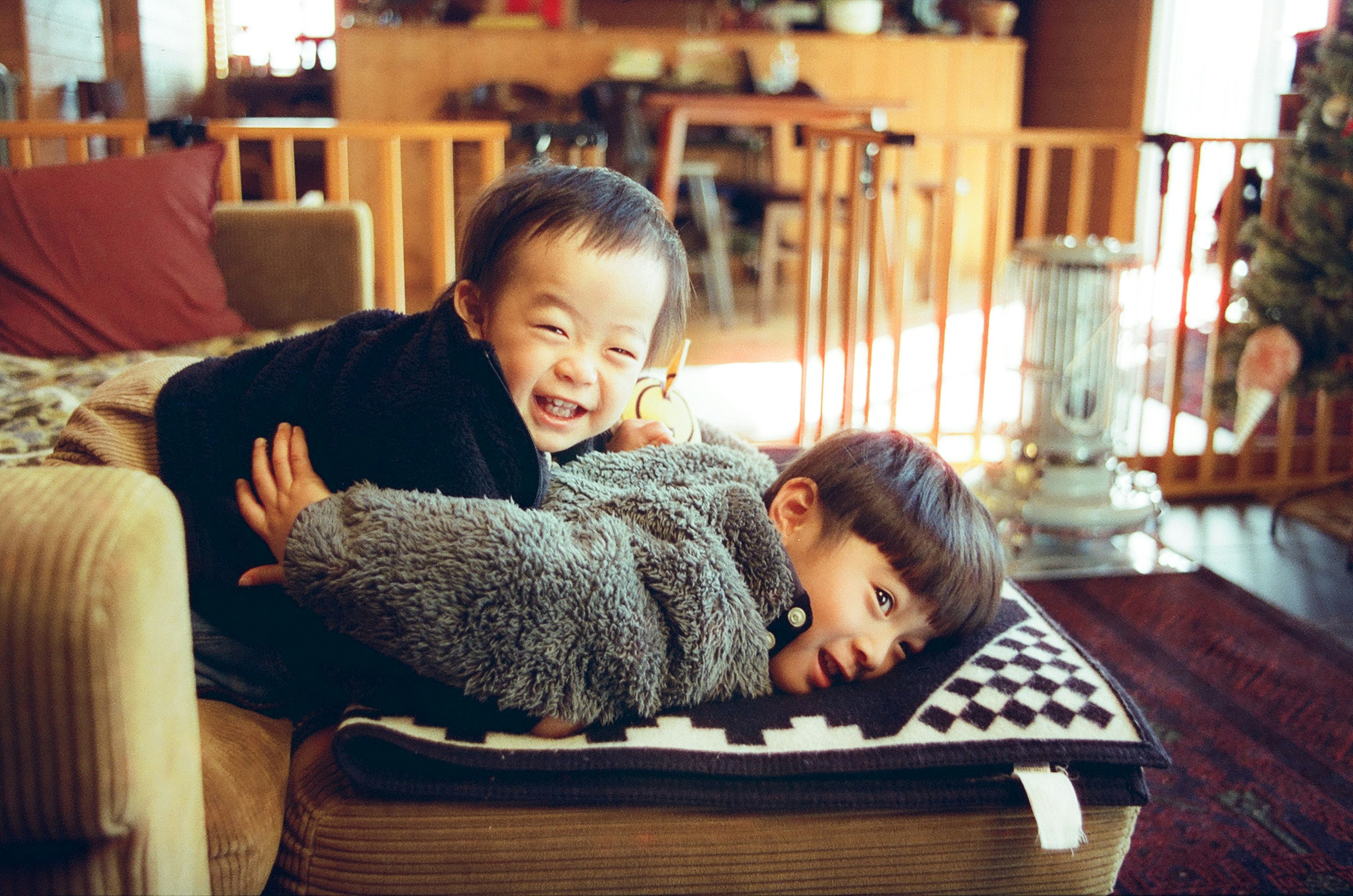 Dua anak bermain di sofa Satu anak tertawa dan memanjat punggung anak lainnya