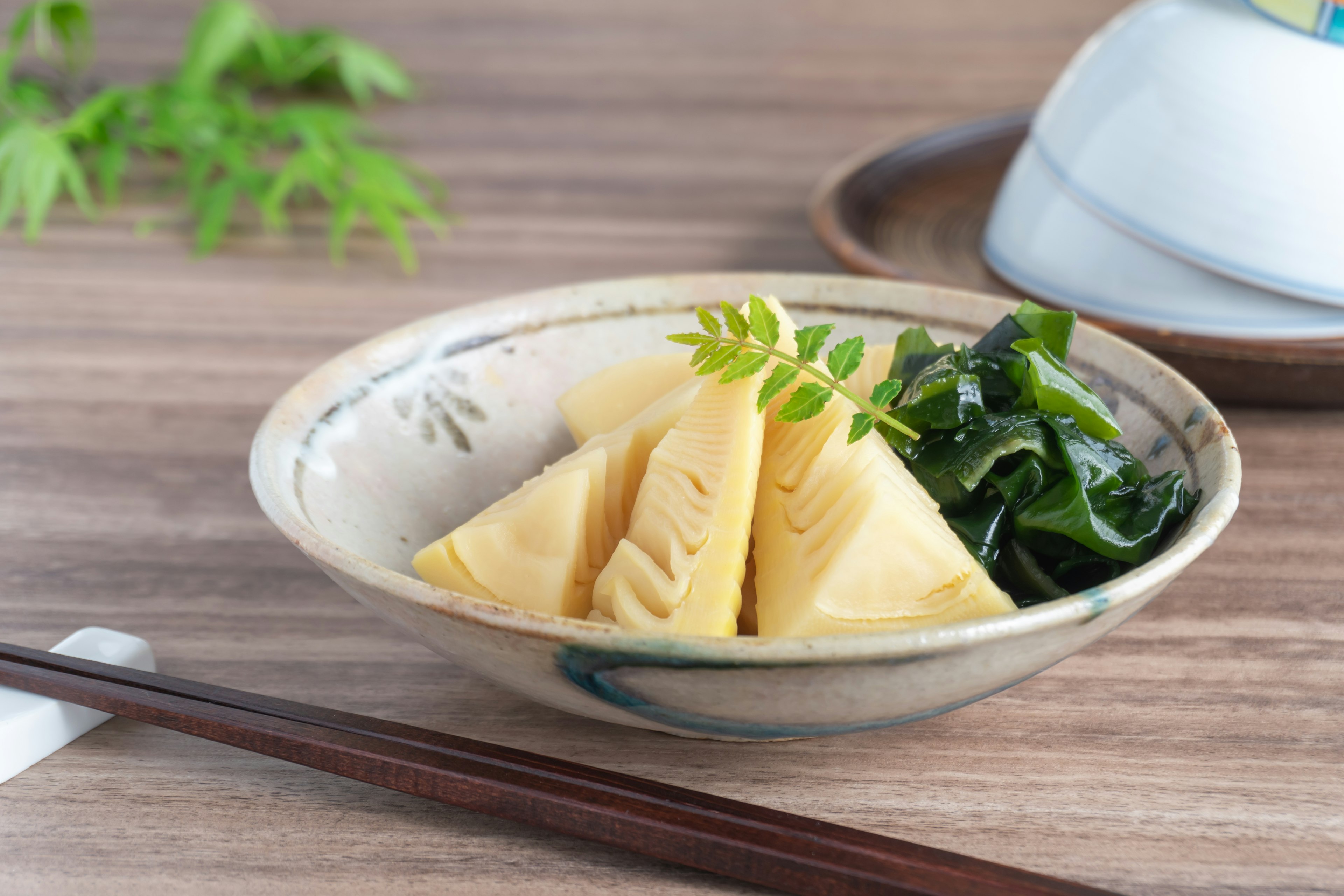 Un hermoso plato japonés con brotes de bambú y algas en un tazón decorativo