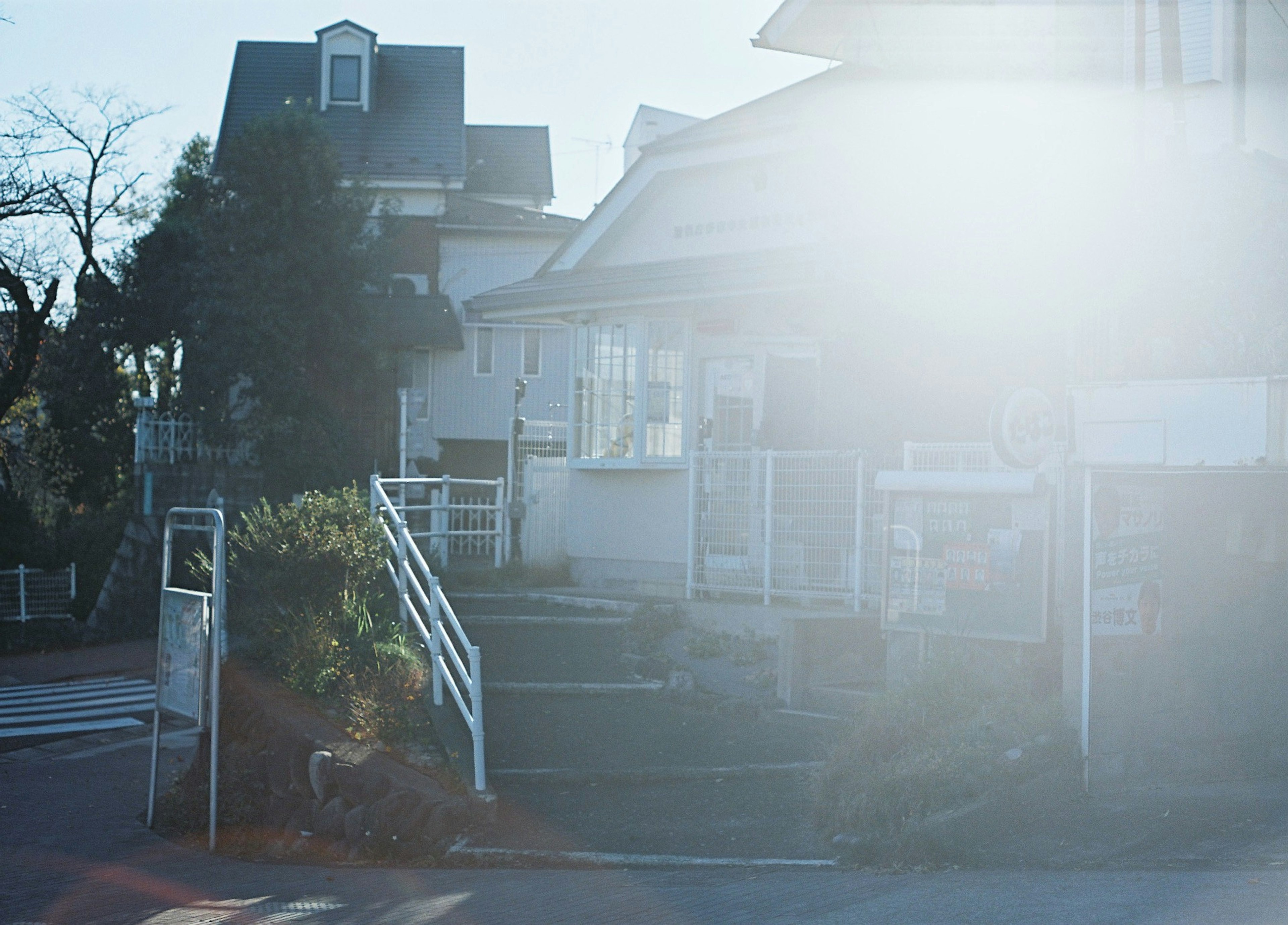 Exterior of a house bathed in bright light featuring steps and surrounding plants