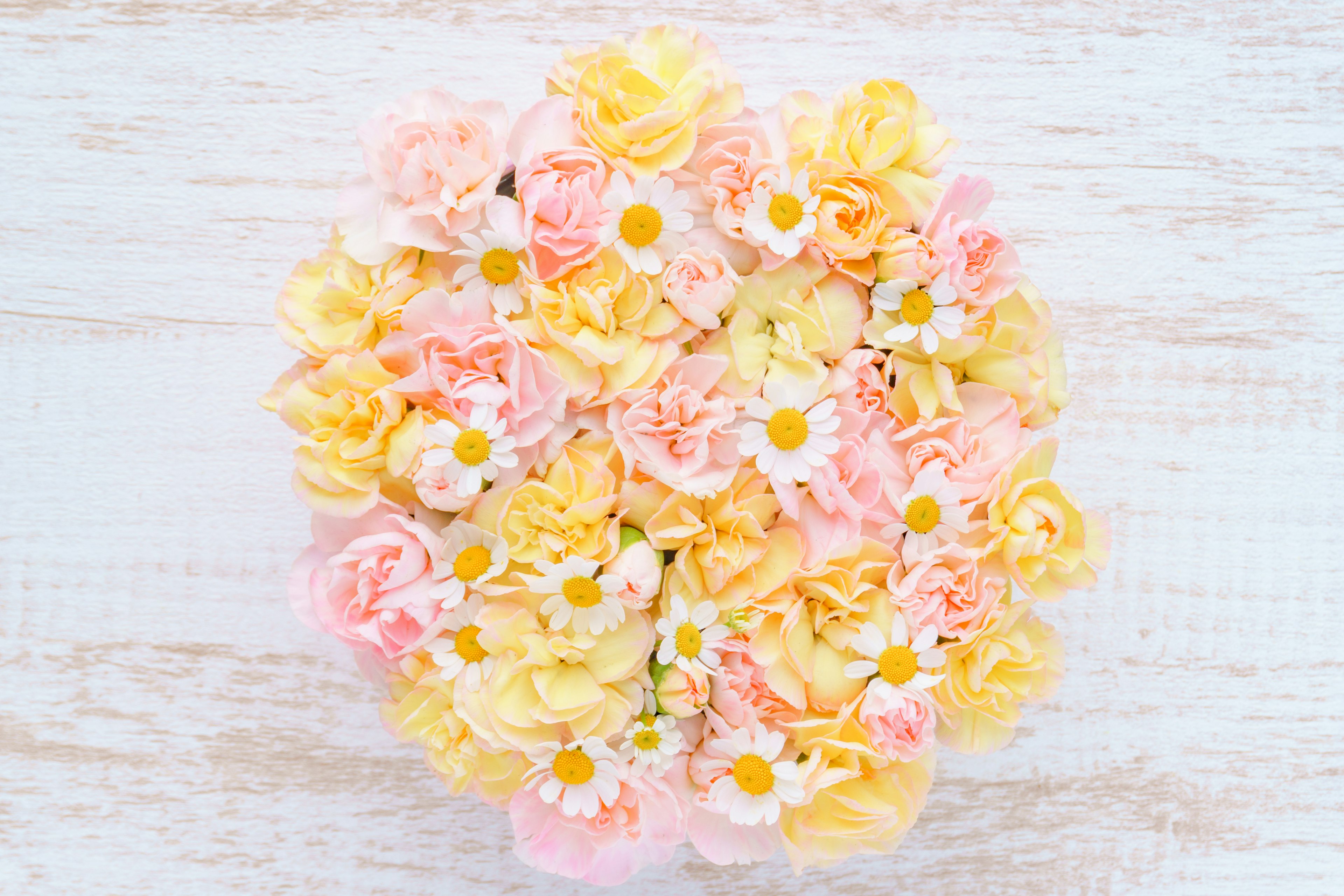 A beautiful bouquet of colorful flowers arranged in a circular pattern