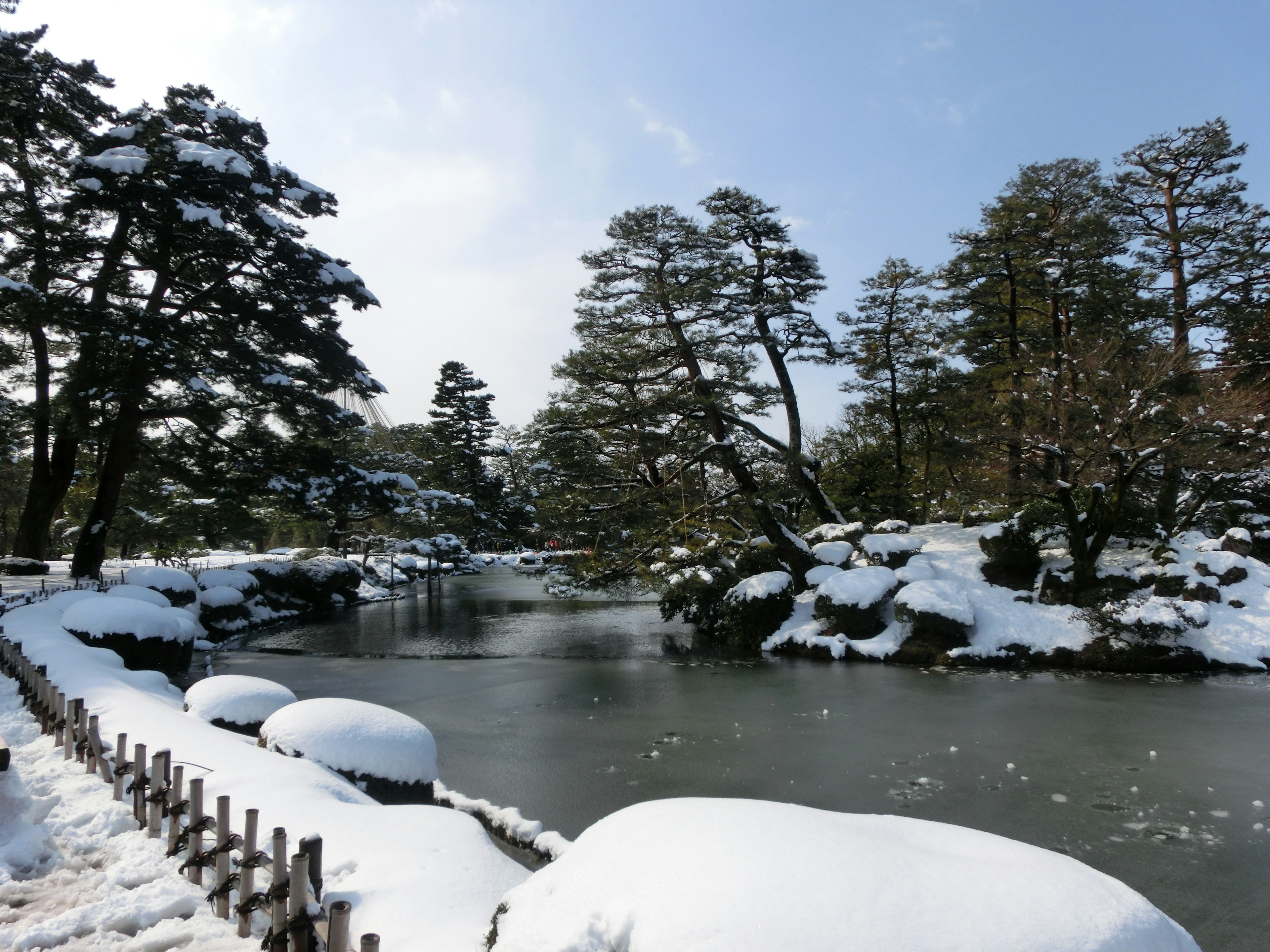 Malersiche Aussicht auf schneebedeckte Kiefern und einen ruhigen Teich