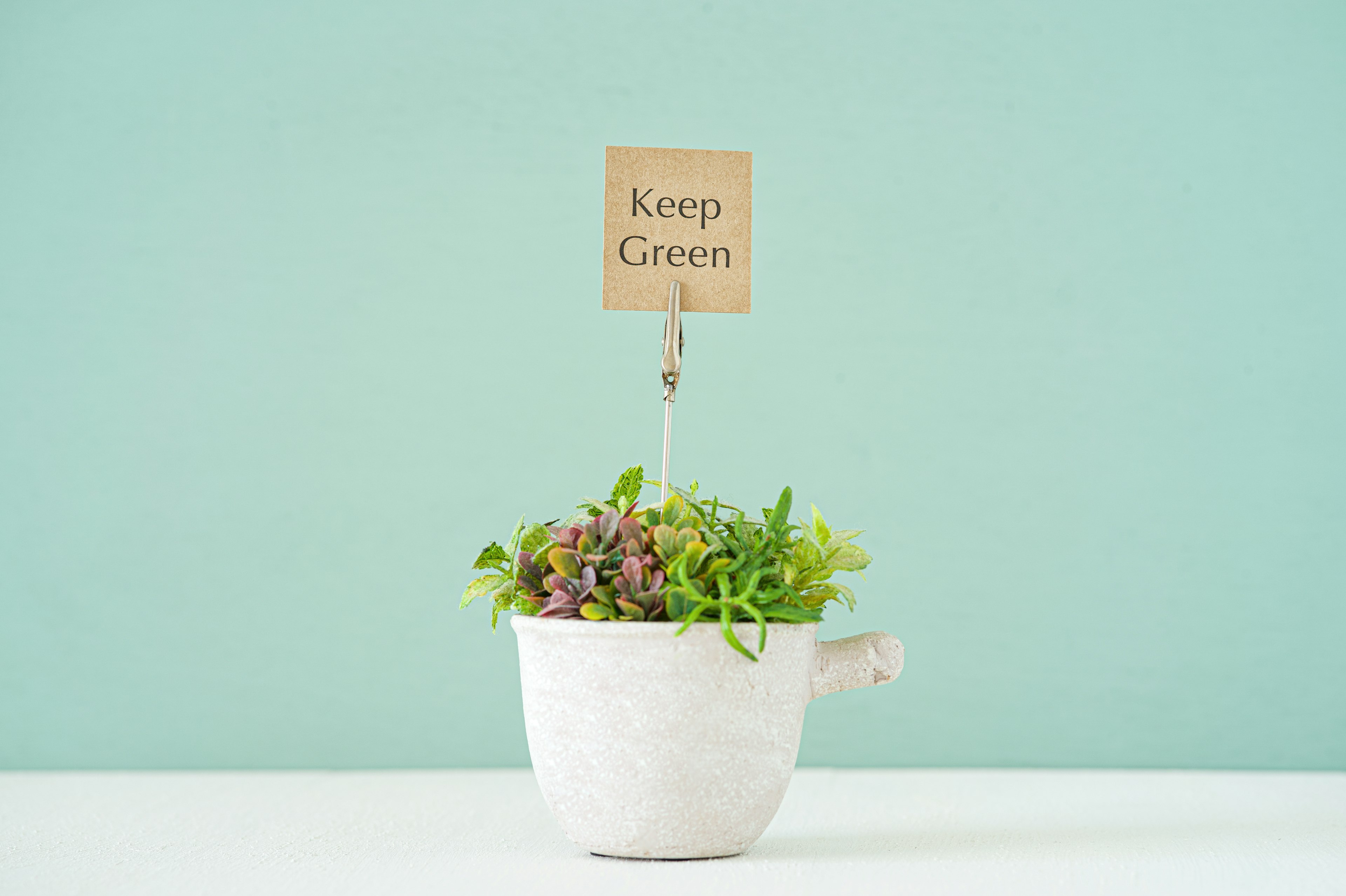 Un pot blanc avec des plantes vertes et un panneau disant Keep Green