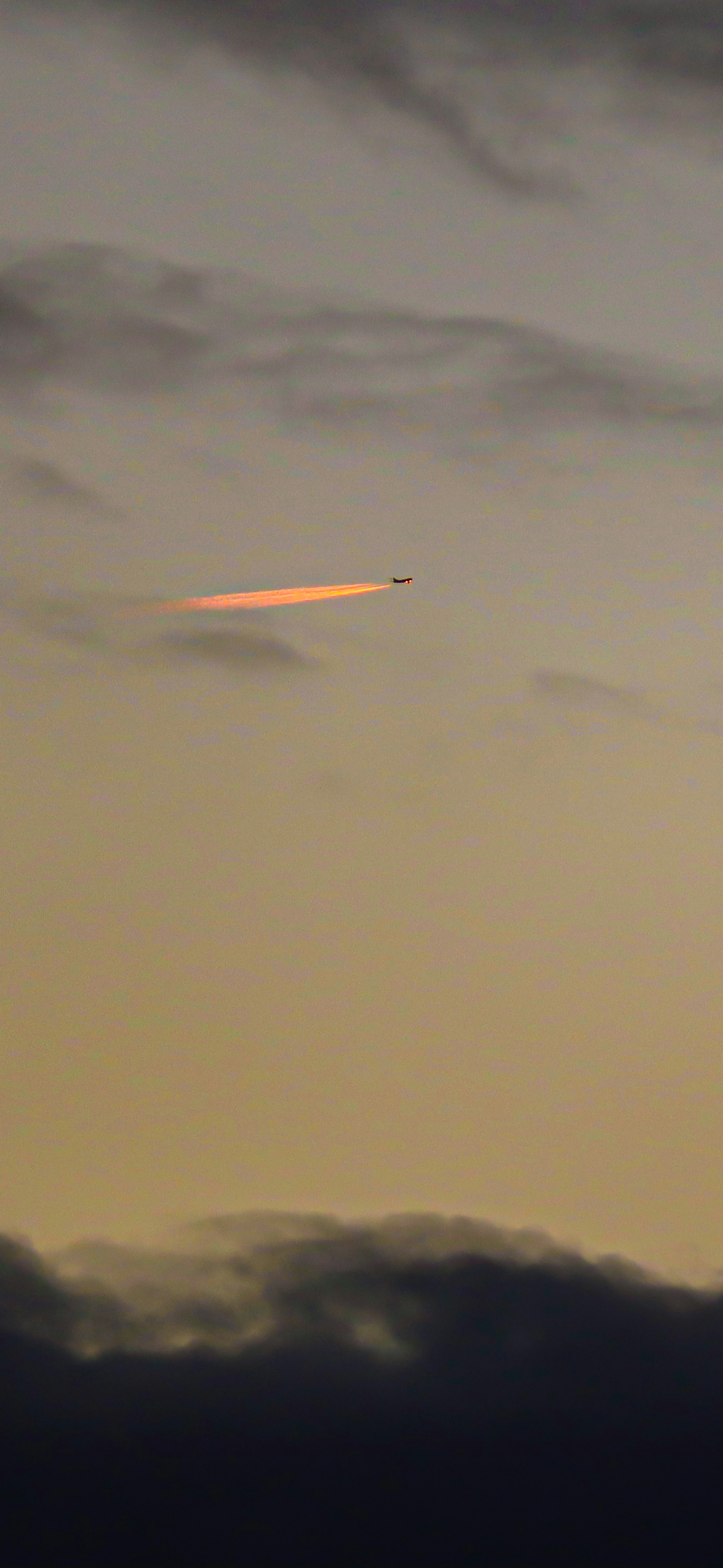 Contrail of an airplane in the evening sky