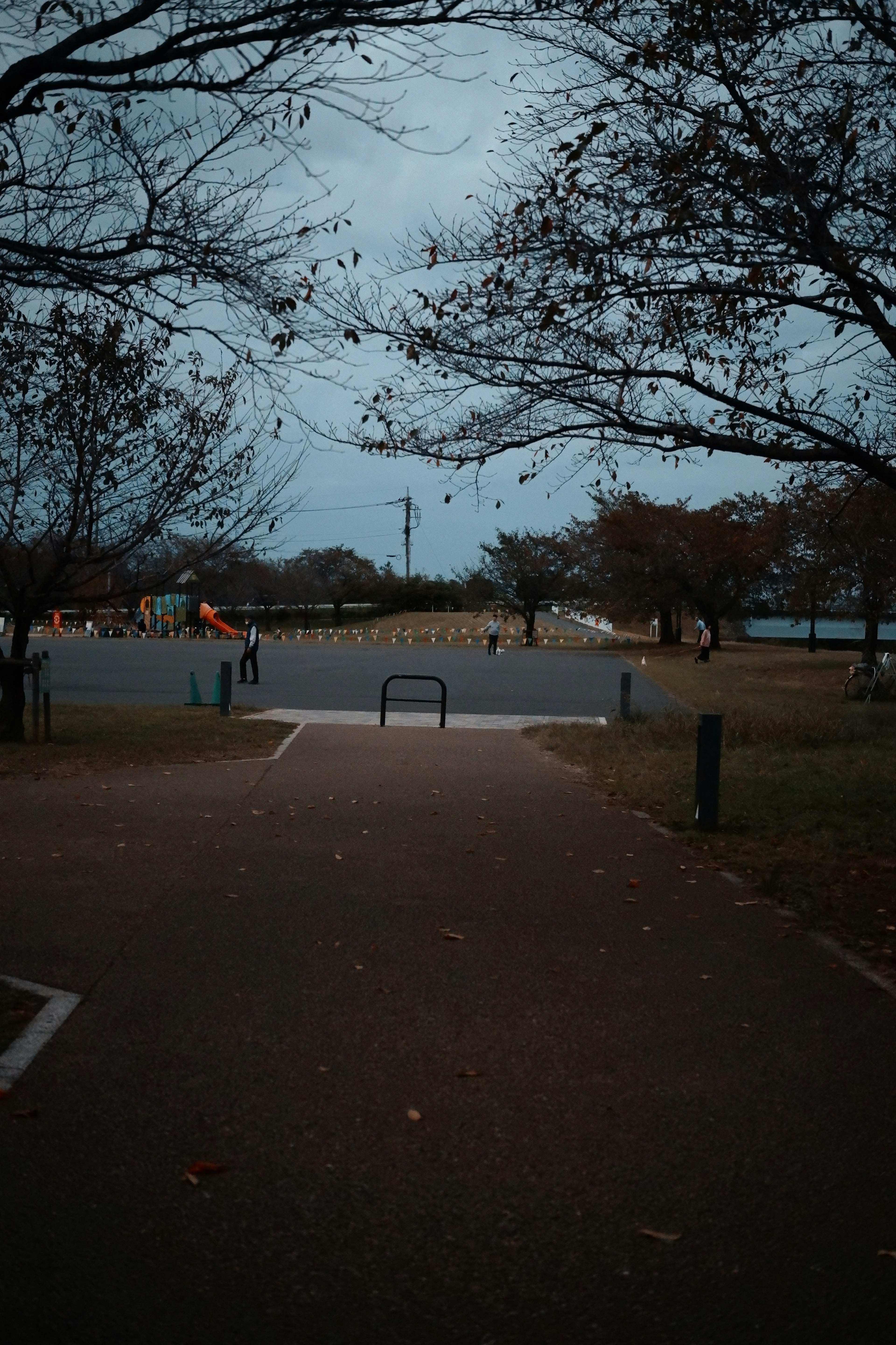 曇り空の下に広がる公園の道と滑り台が見える風景