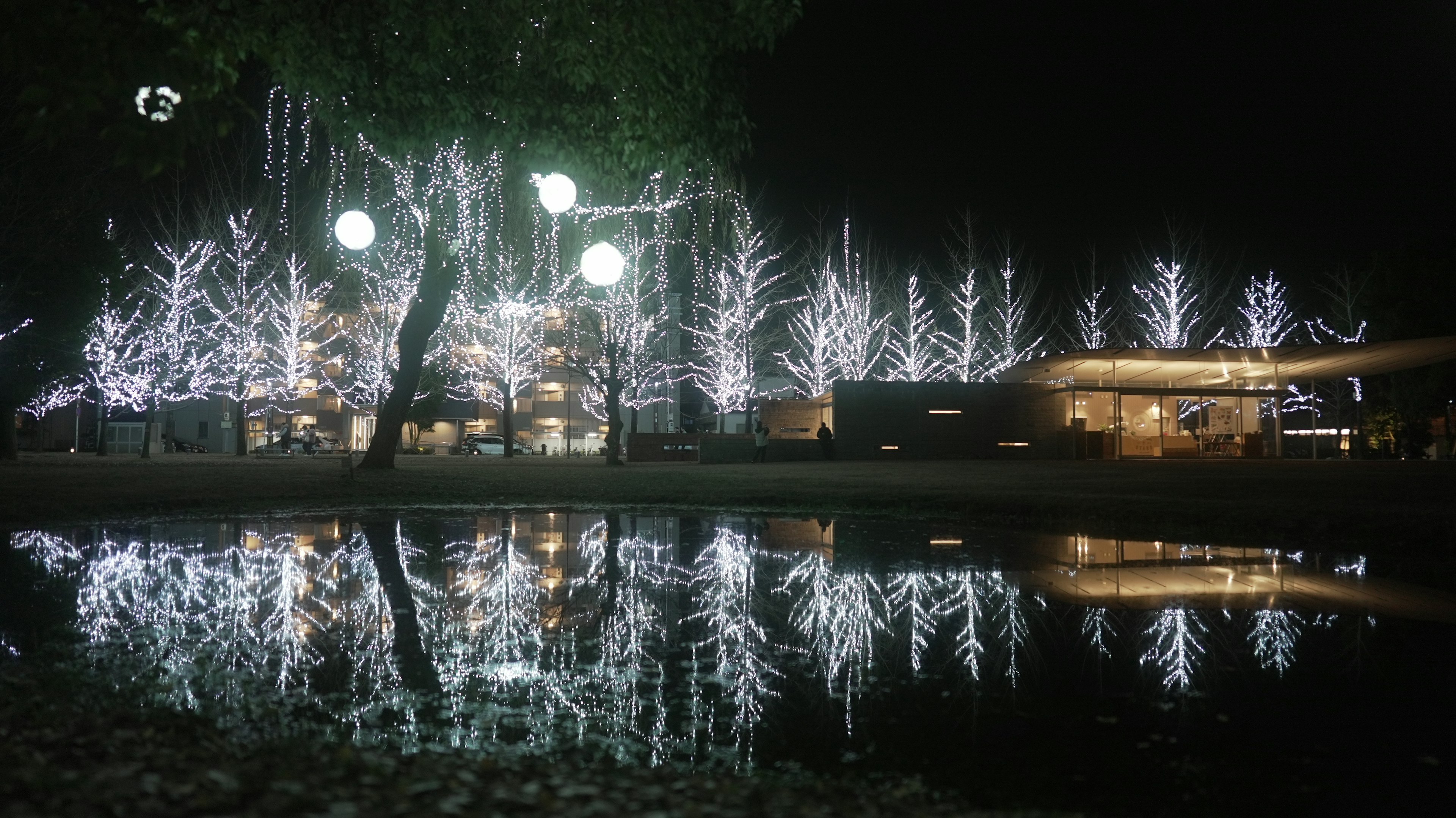 夜晚公園中閃爍的白色燈光和水面倒影