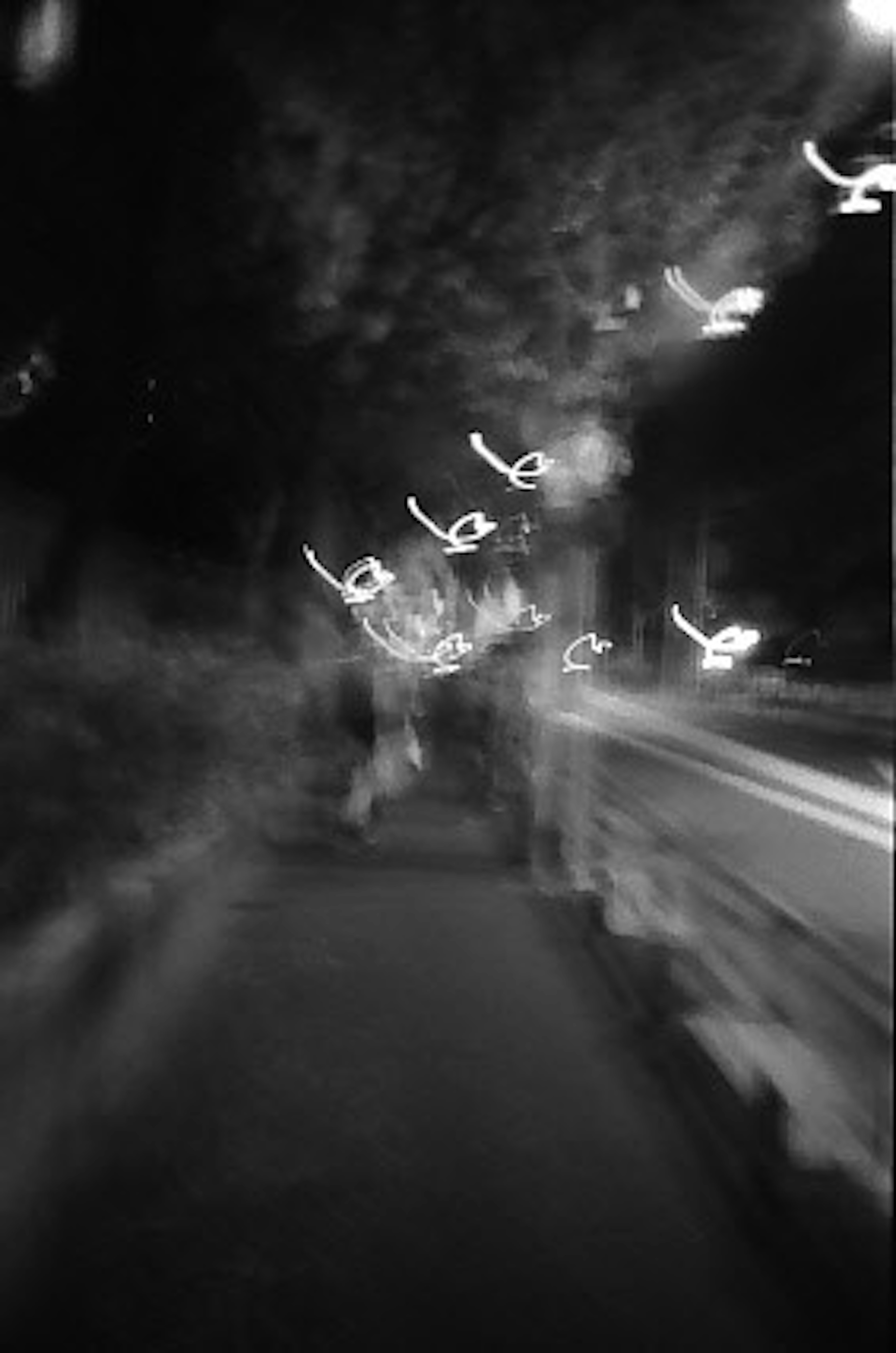 Foto borrosa en blanco y negro de una calle nocturna con acera y farolas