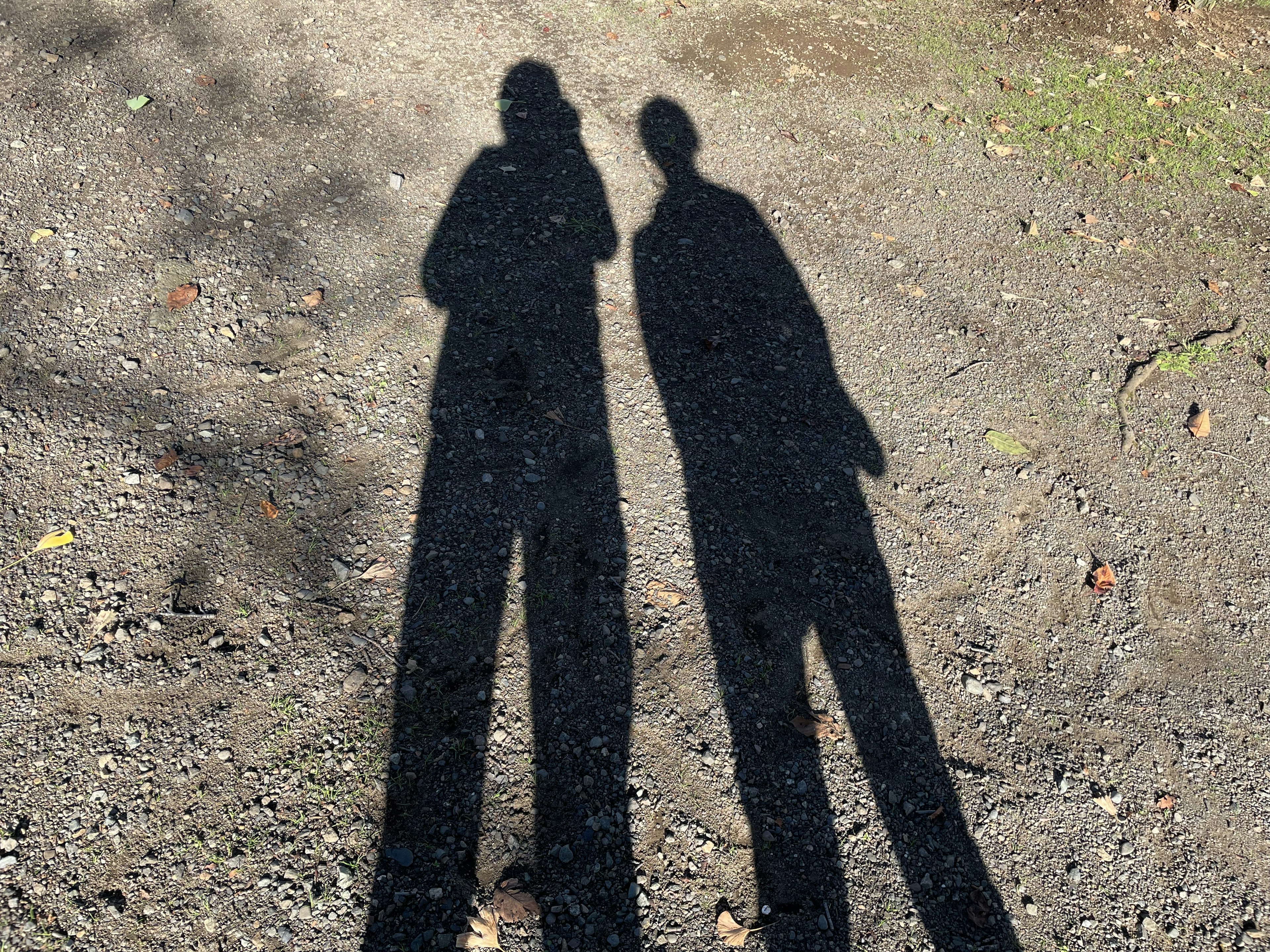 Two shadows cast on the ground