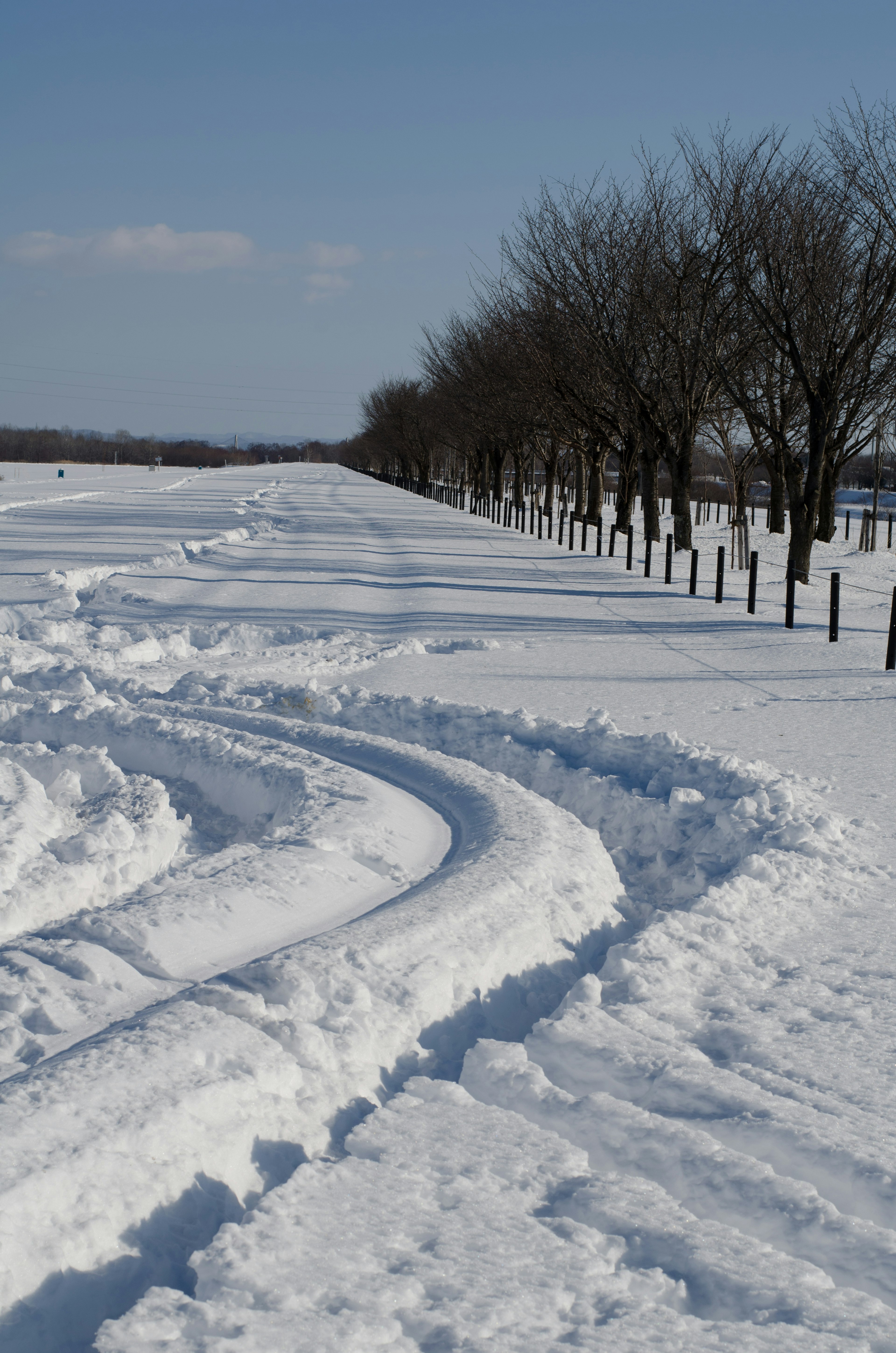 Route enneigée avec des traces de pneus et des arbres de chaque côté