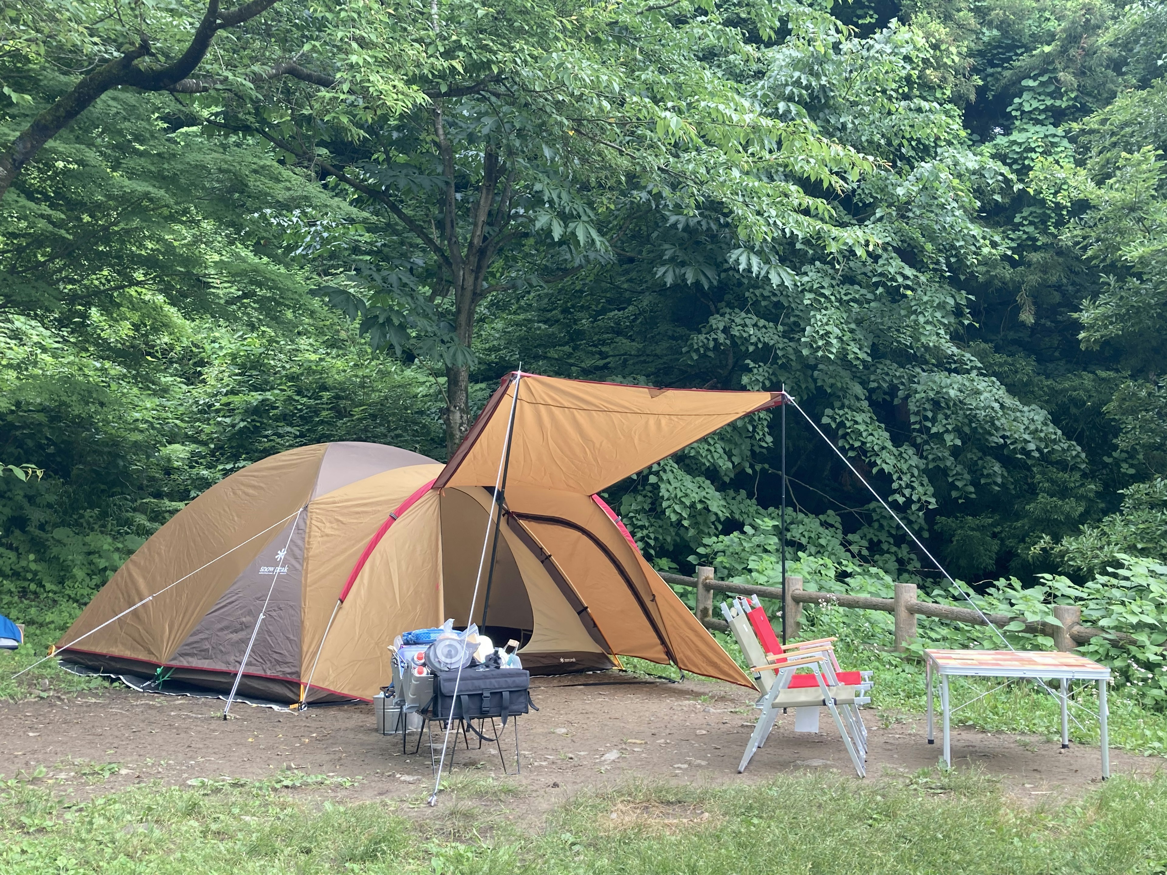 Camping tent with a red chair in a green forest setting